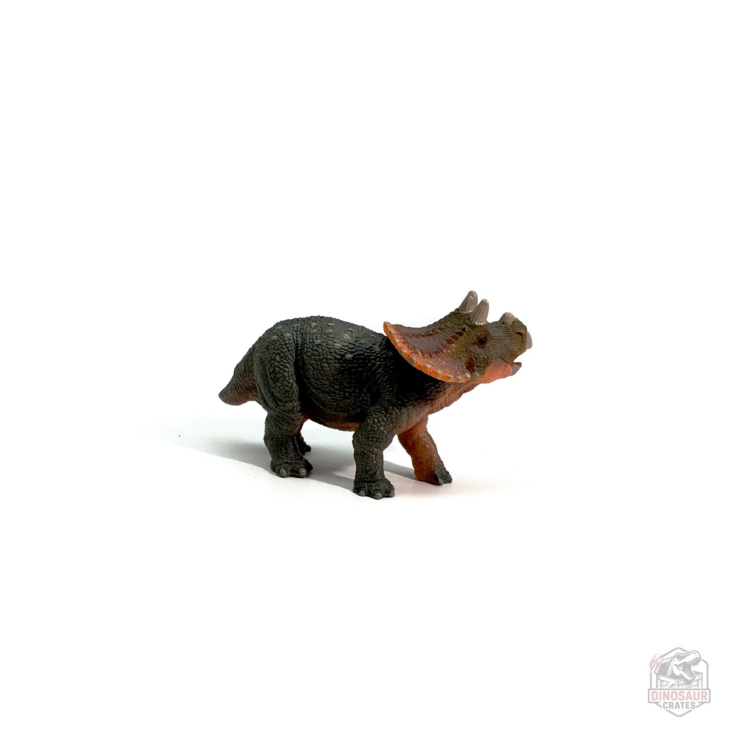 Papo Young Triceratops Dinosaur Figure