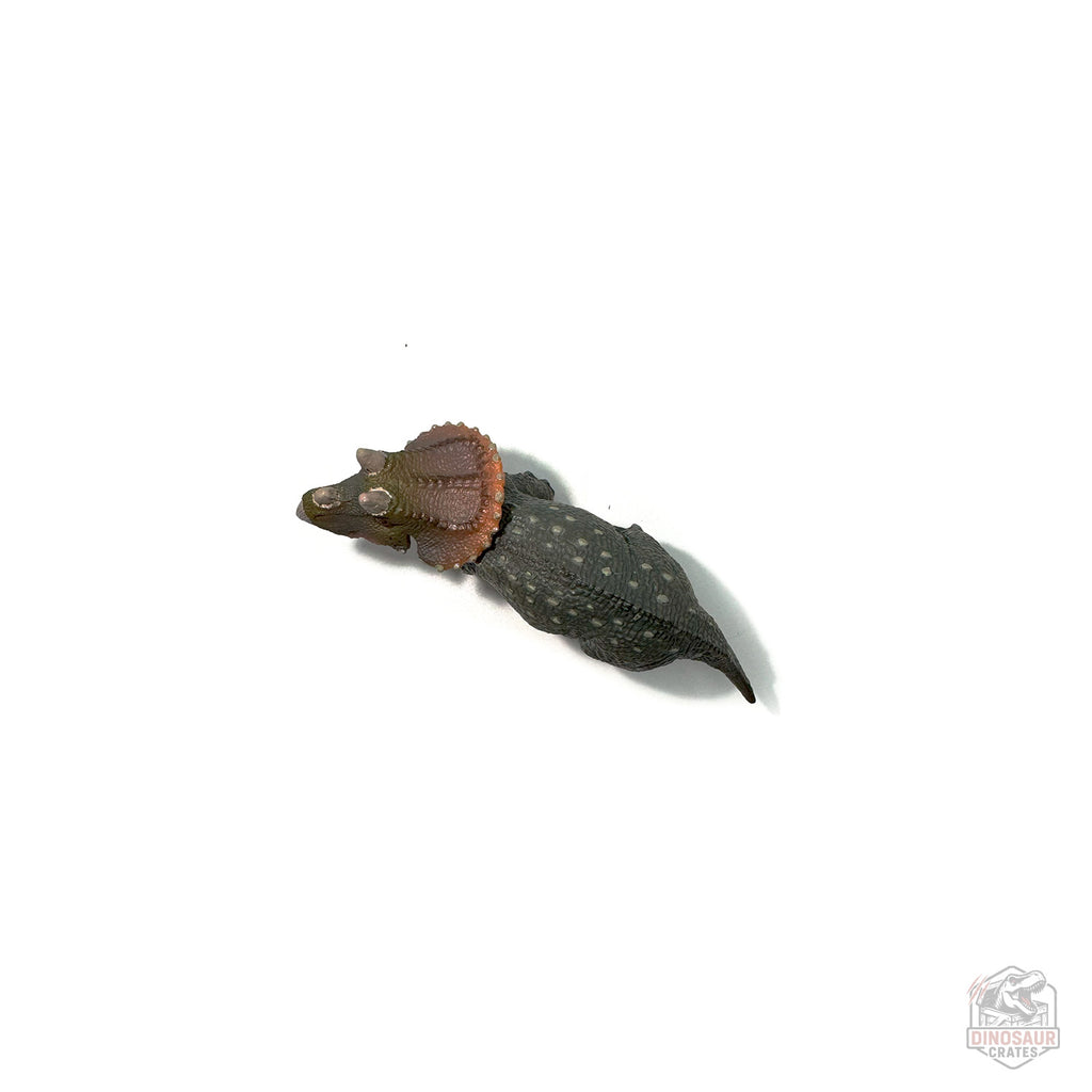 Papo Young Triceratops Dinosaur Figure