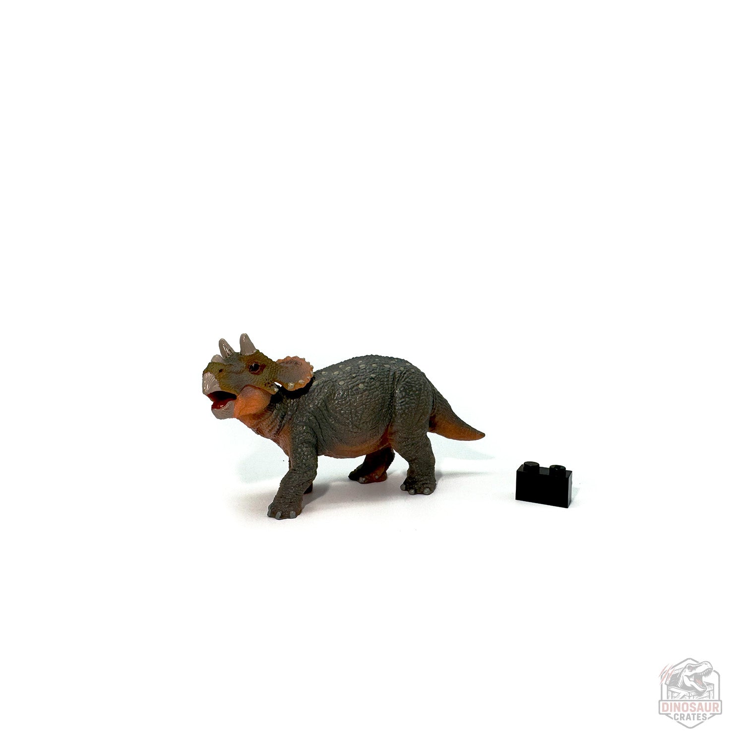 Papo Young Triceratops Dinosaur Figure