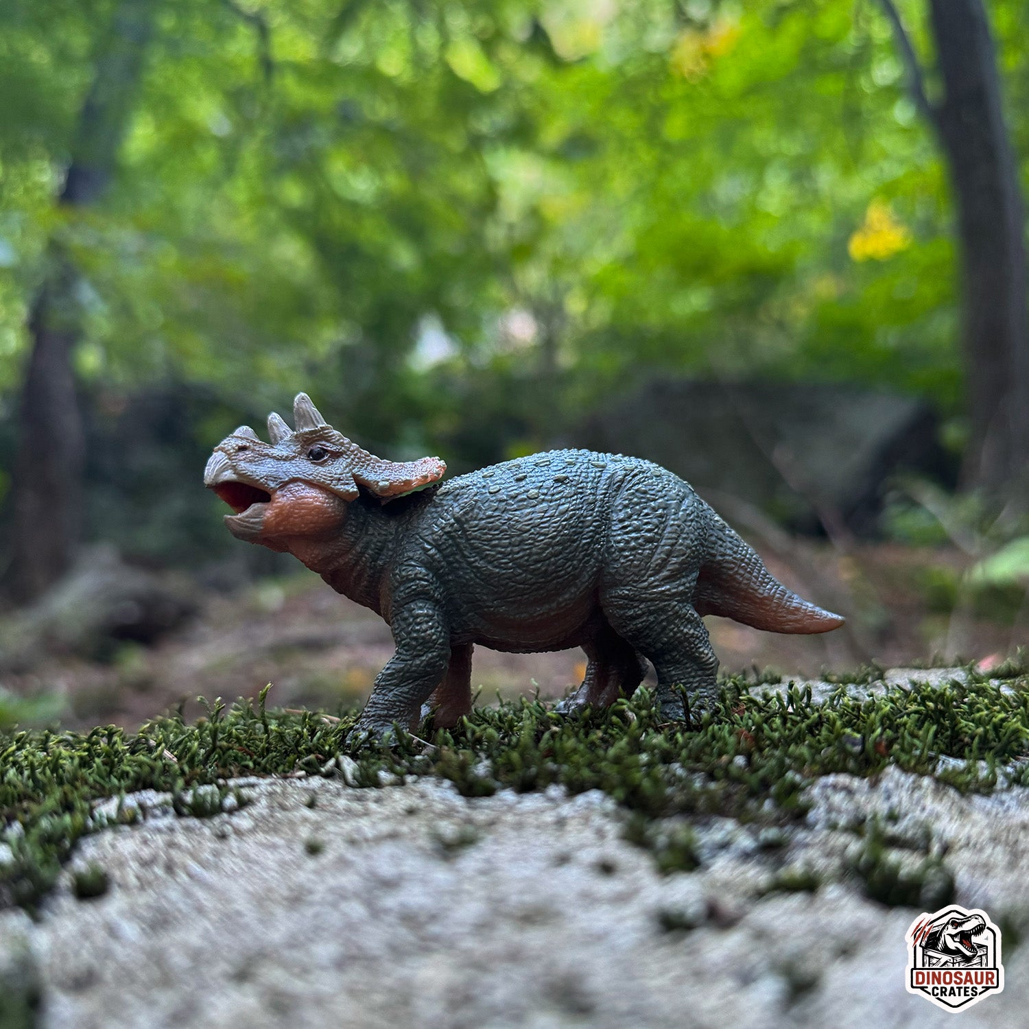 Papo Baby Triceratops Dinosaur figure on a natural background with greenery
