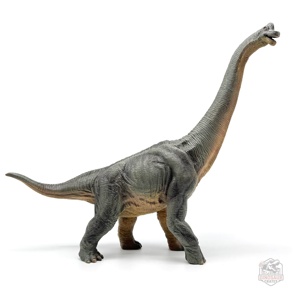 Papo Brachiosaurus Dinosaur Figure