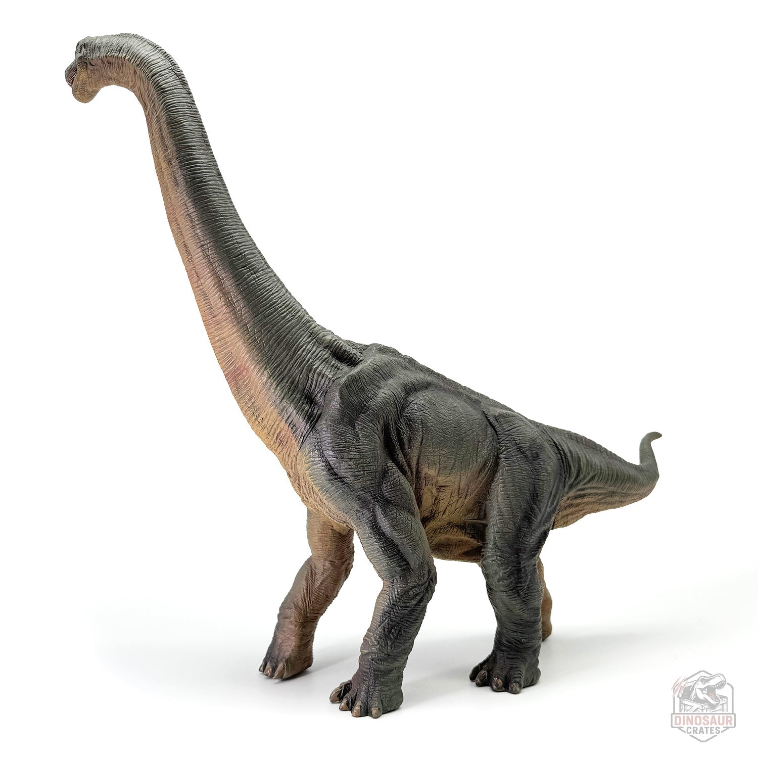 Papo Brachiosaurus Dinosaur Figure