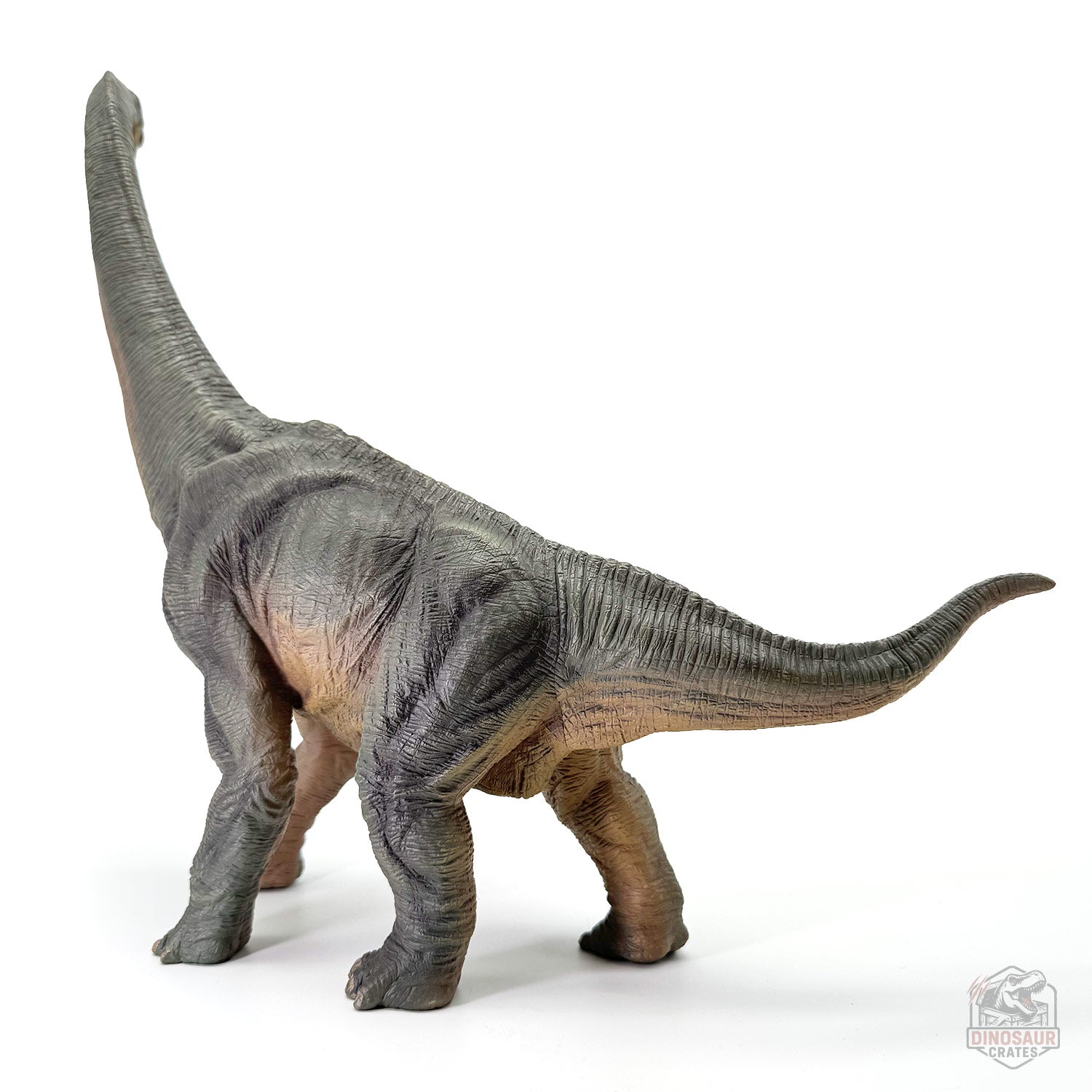 Papo Brachiosaurus Dinosaur Figure