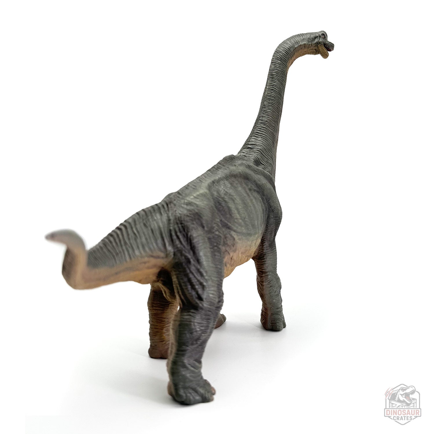 Papo Brachiosaurus Dinosaur Figure