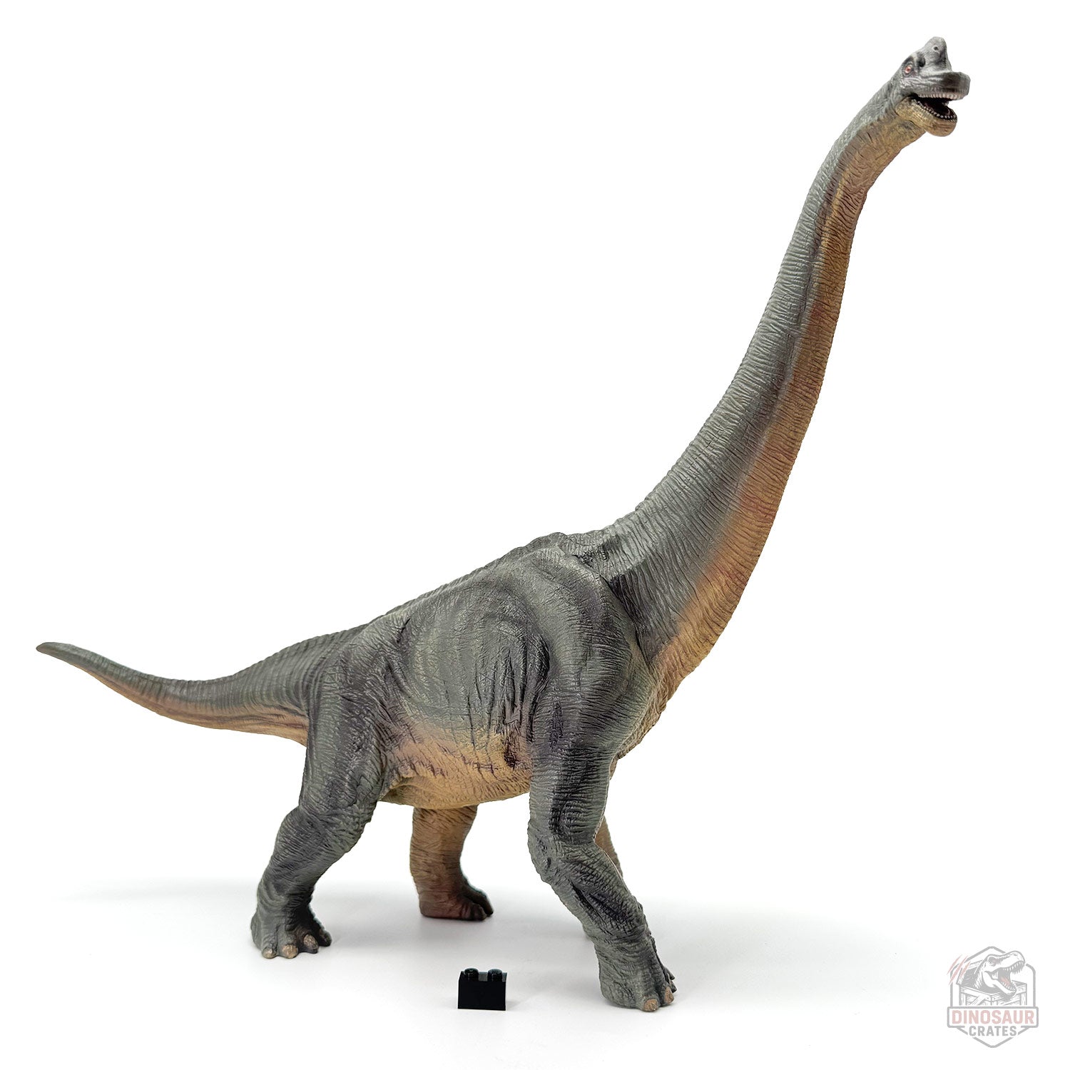 Papo Brachiosaurus Dinosaur Figure