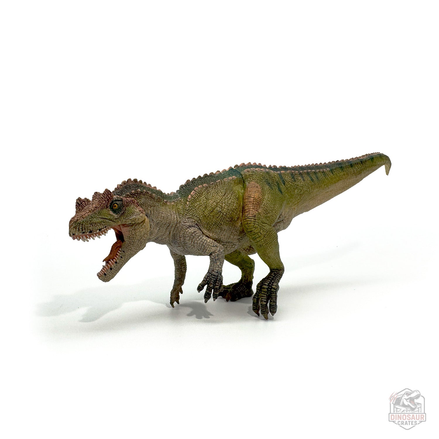 Papo Ceratosaurus Dinosaur Figure