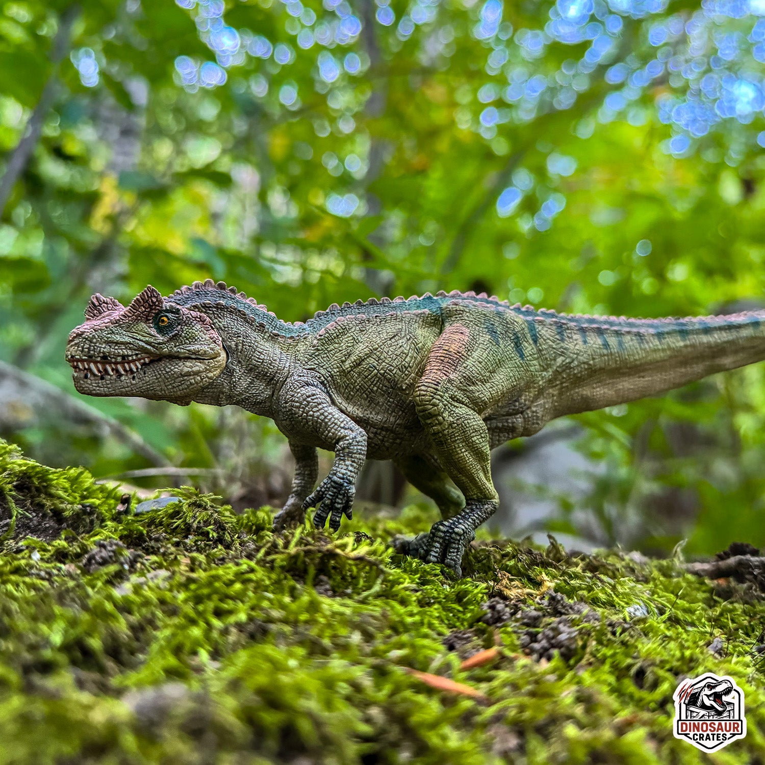 Papo Ceratosaurus Dinosaur Figure