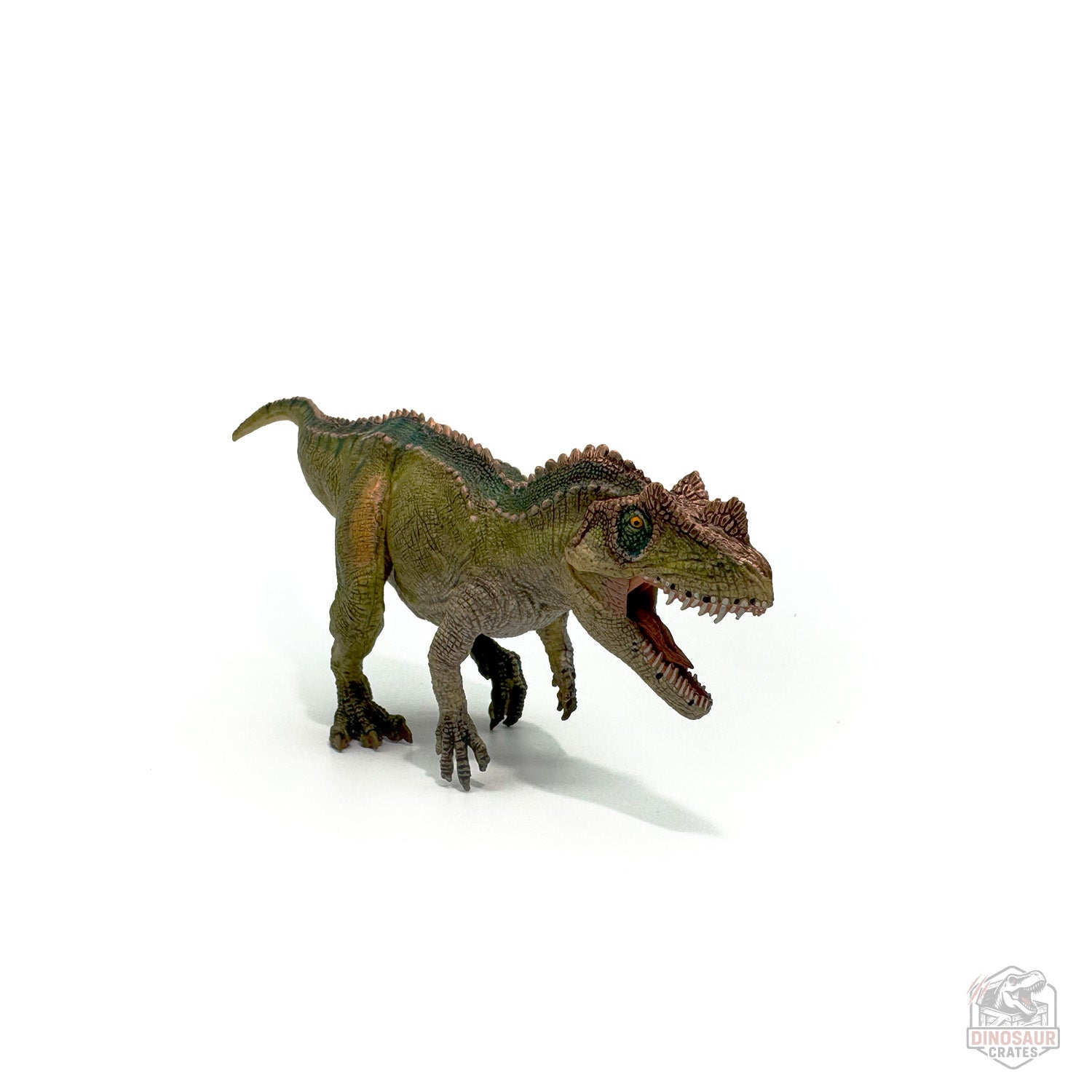 Papo Ceratosaurus Dinosaur Figure