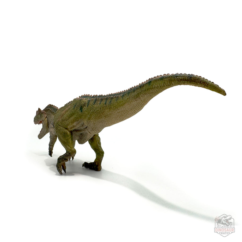 Papo Ceratosaurus Dinosaur Figure
