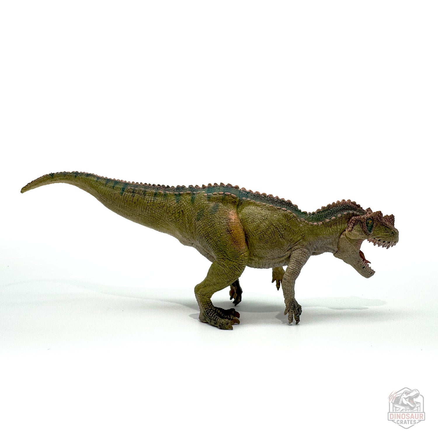 Papo Ceratosaurus Dinosaur Figure