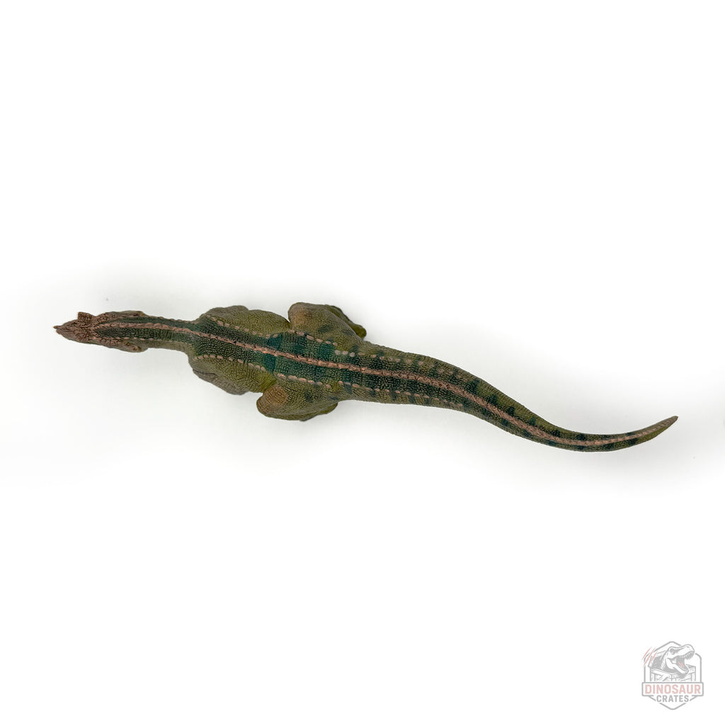 Papo Ceratosaurus Dinosaur Figure