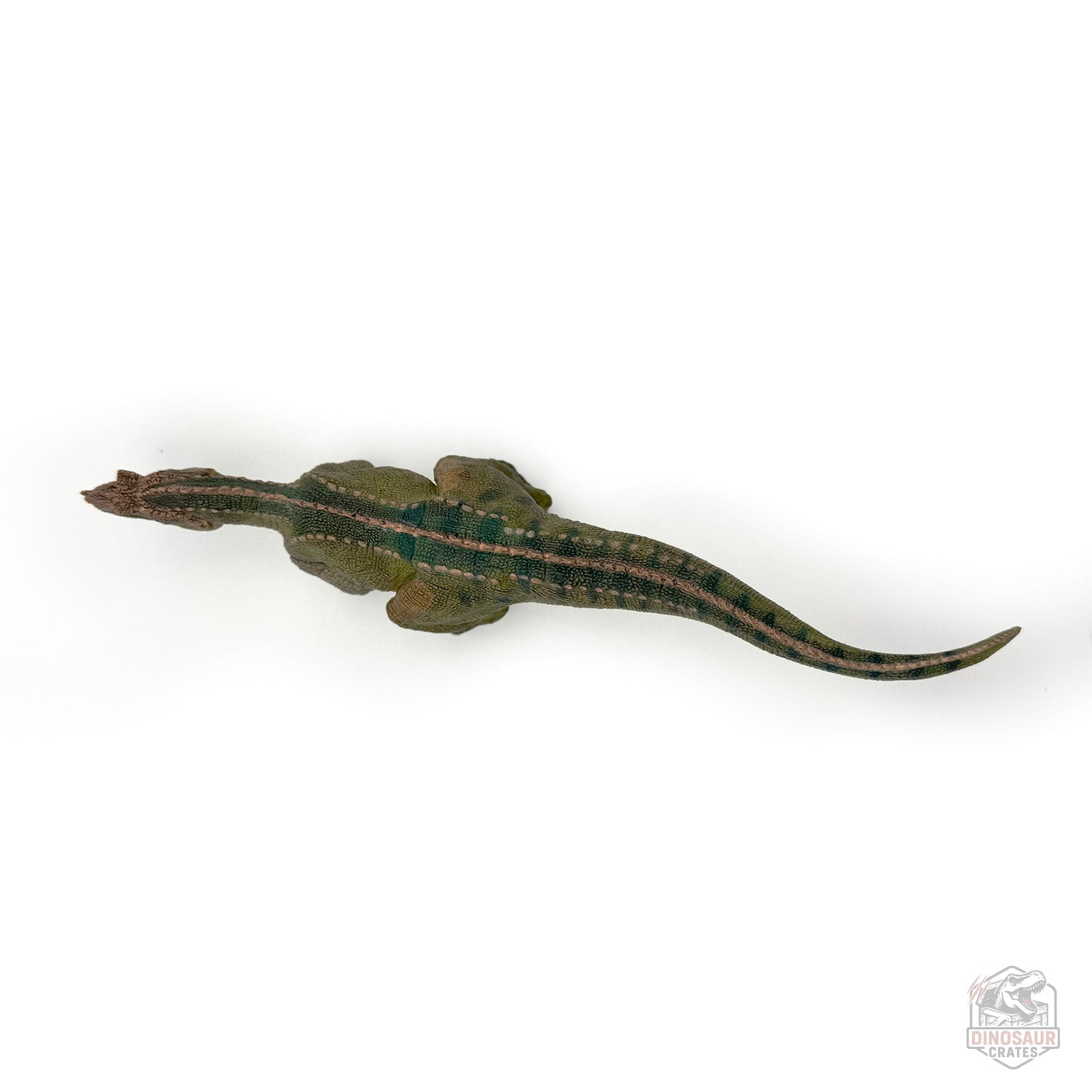 Papo Ceratosaurus Dinosaur Figure