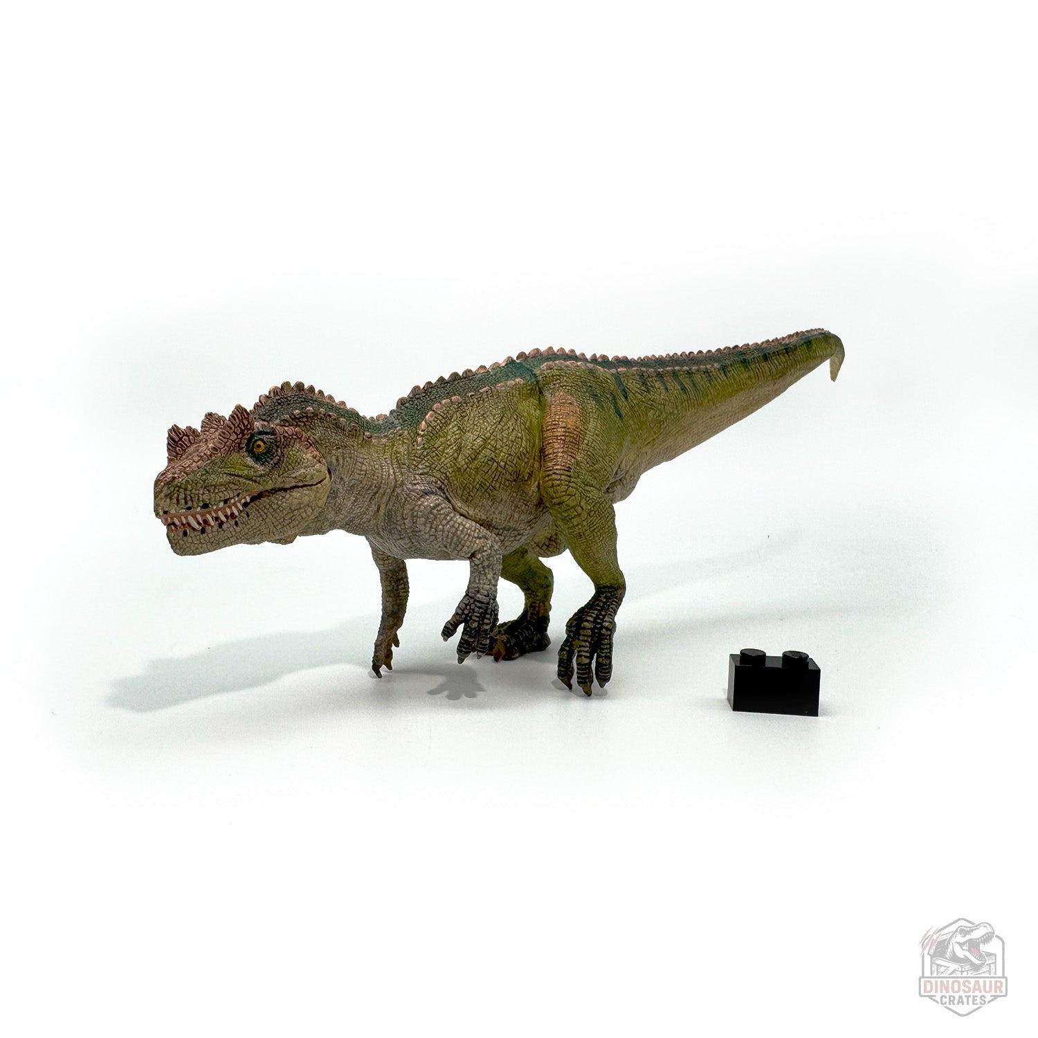 Papo Ceratosaurus Dinosaur Figure