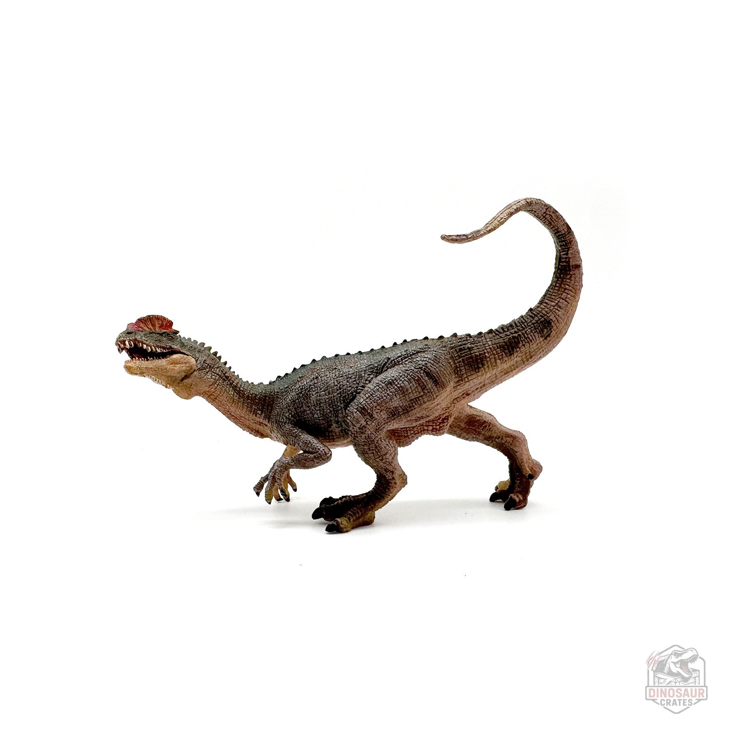 Papo Dilophosaurus Dinosaur Figure