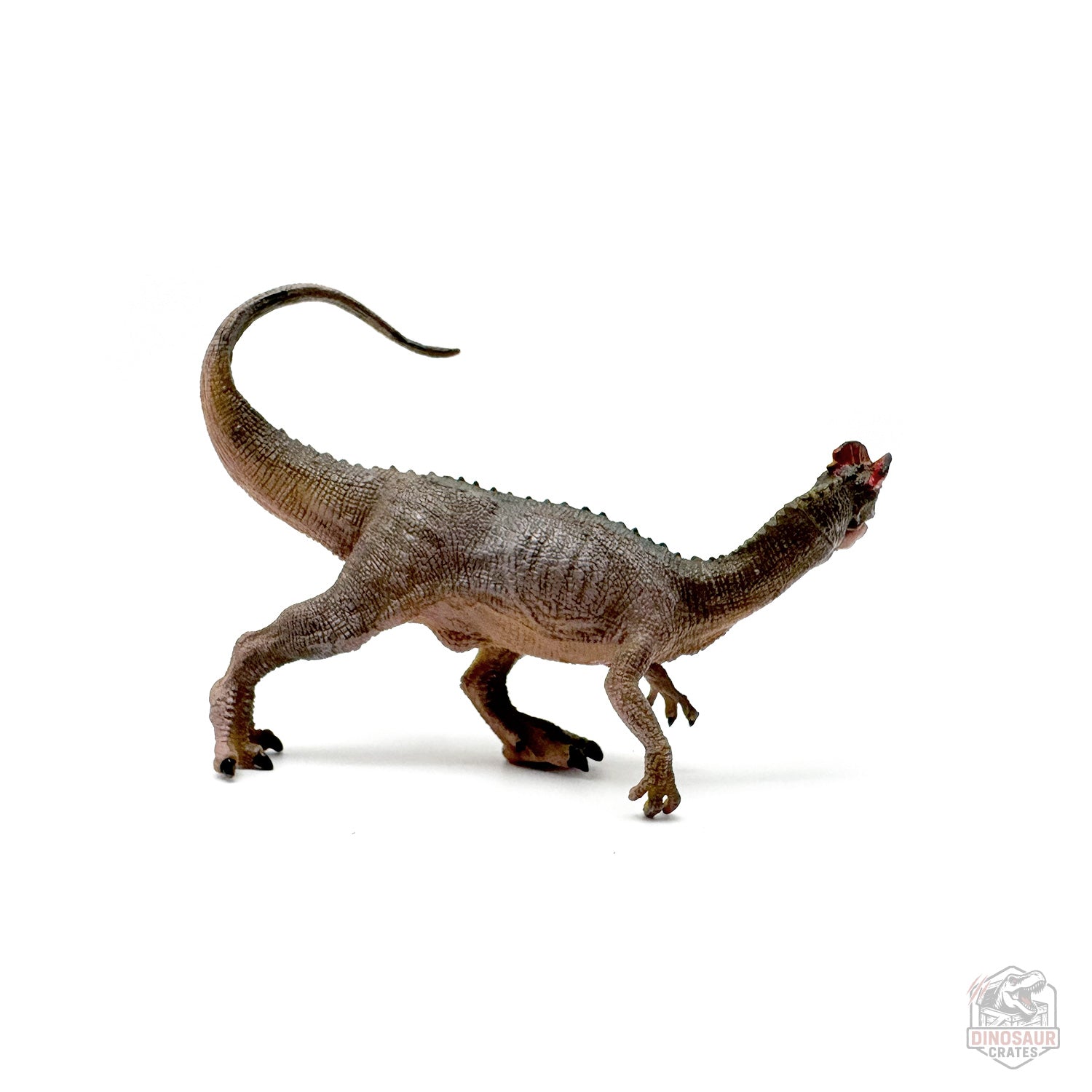 Papo Dilophosaurus Dinosaur Figure