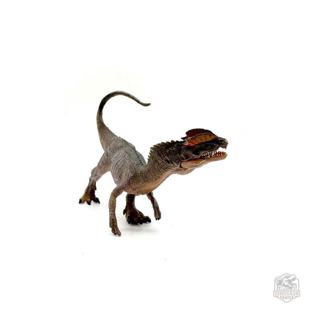 Papo Dilophosaurus Dinosaur Figure