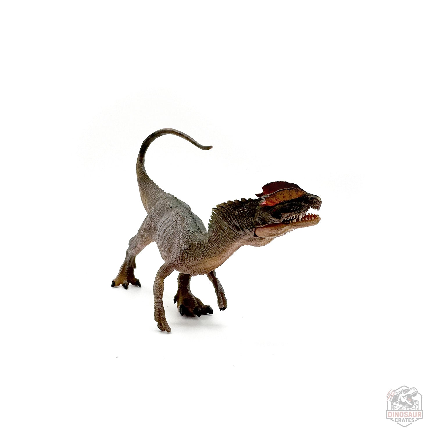Papo Dilophosaurus Dinosaur Figure