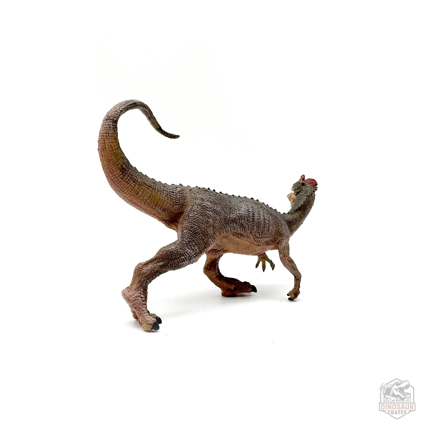 Papo Dilophosaurus Dinosaur Figure