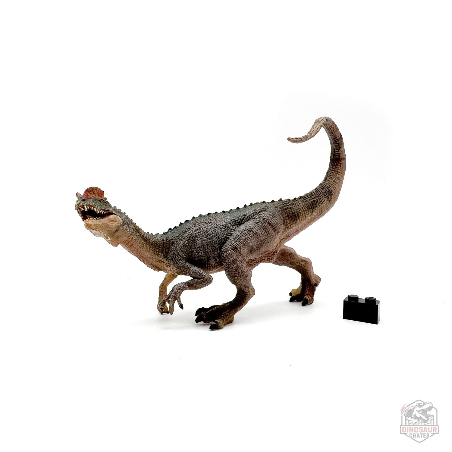 Papo Dilophosaurus Dinosaur Figure