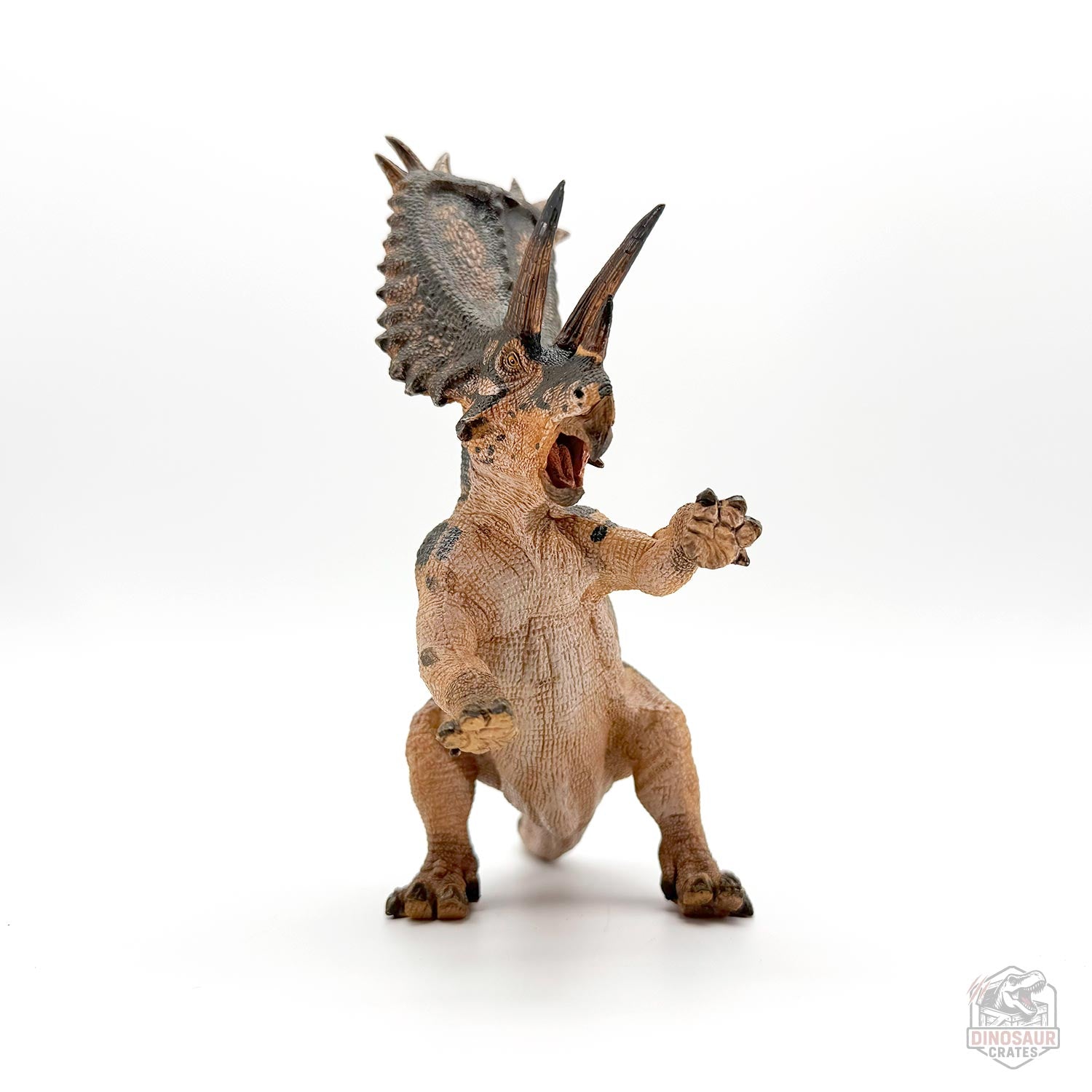 Papo Pentaceratops Dinosaur Figure