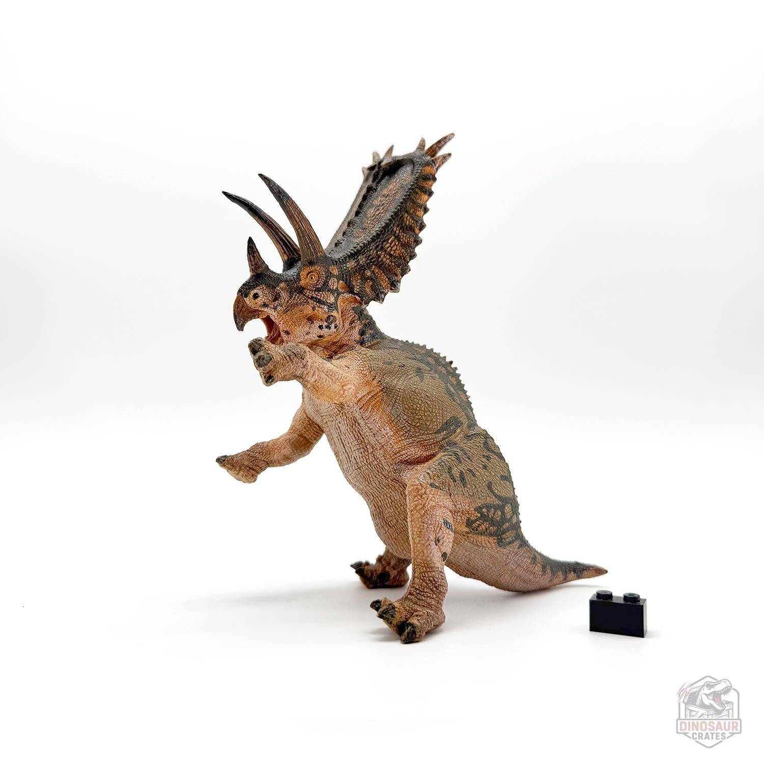 Papo Pentaceratops Dinosaur Figure