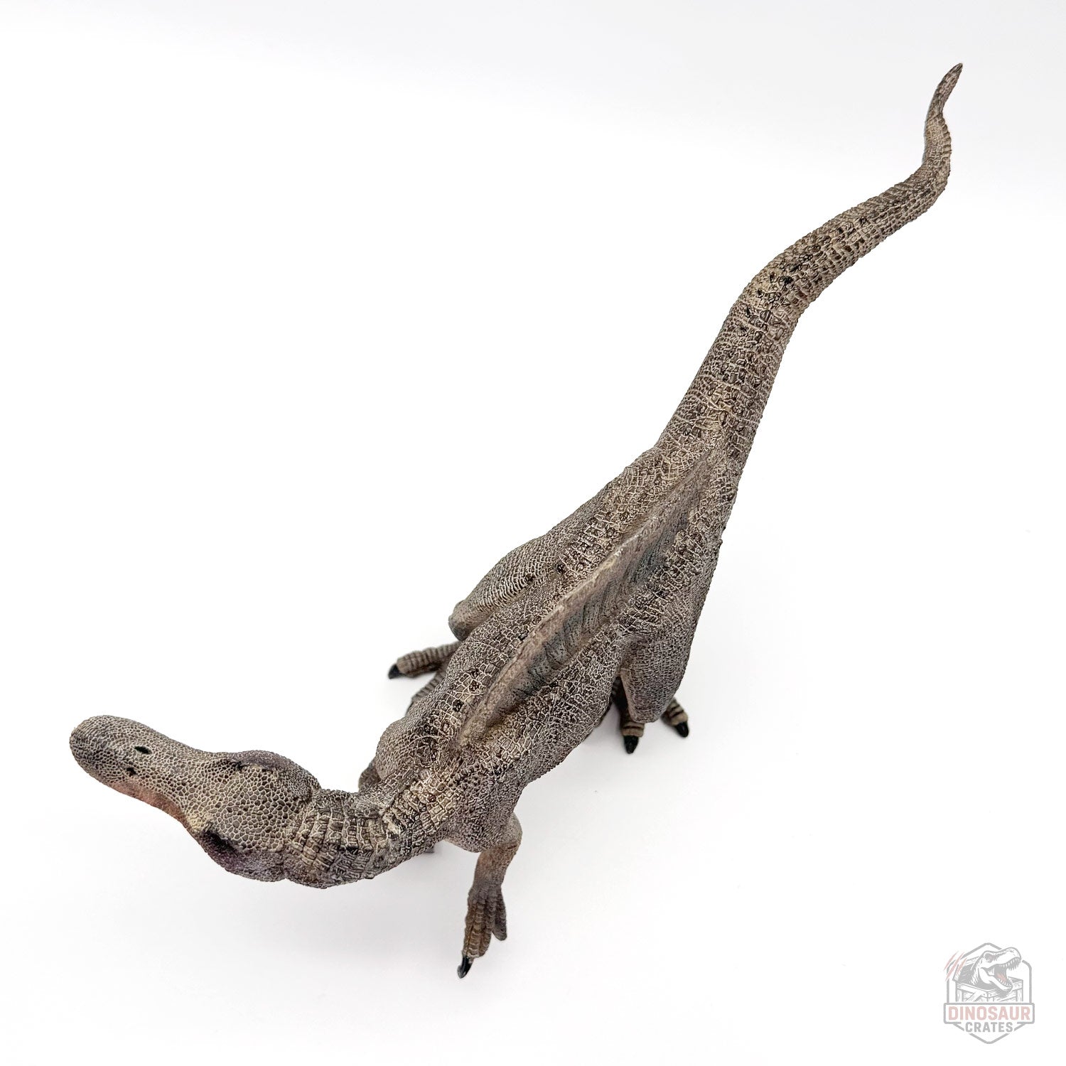 Papo Spinosaurus Dinosaur Figure 55011