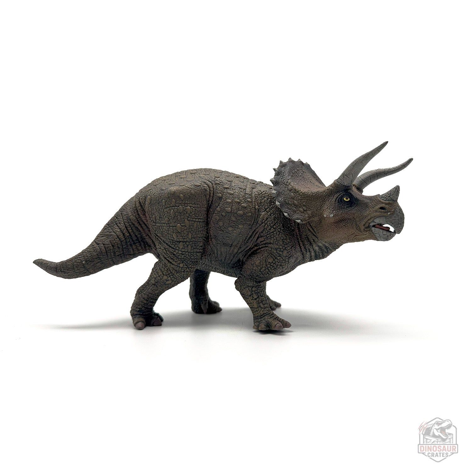 Papo Triceratops Dinosaur Figure