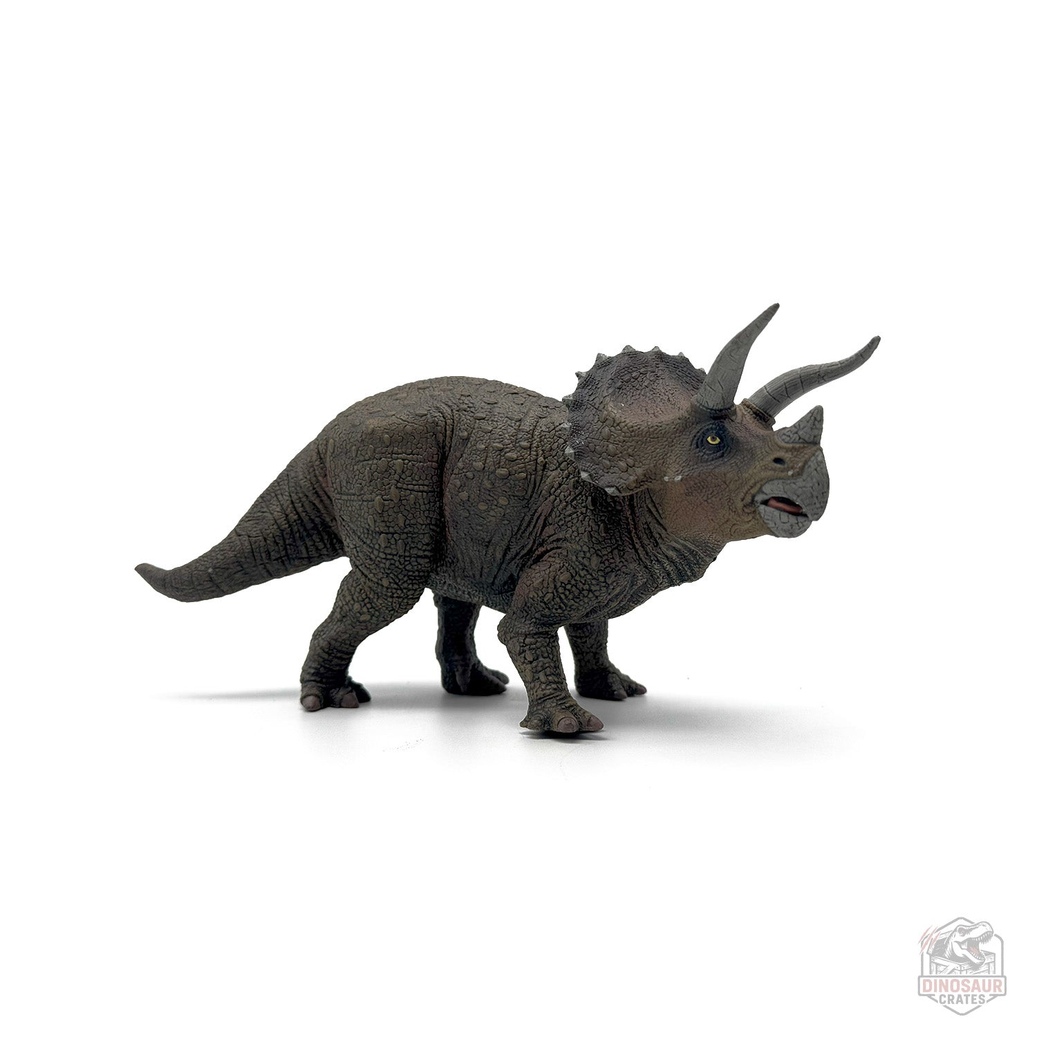 Papo Triceratops Dinosaur Figure