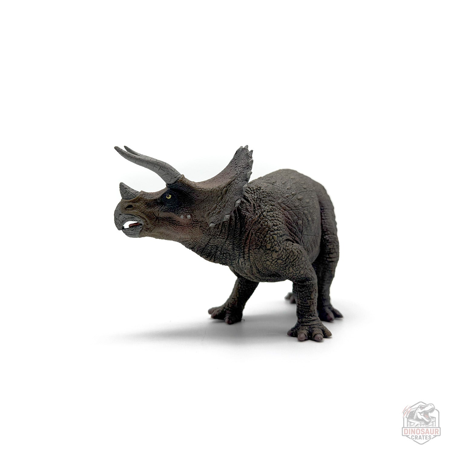 Papo Triceratops Dinosaur Figure