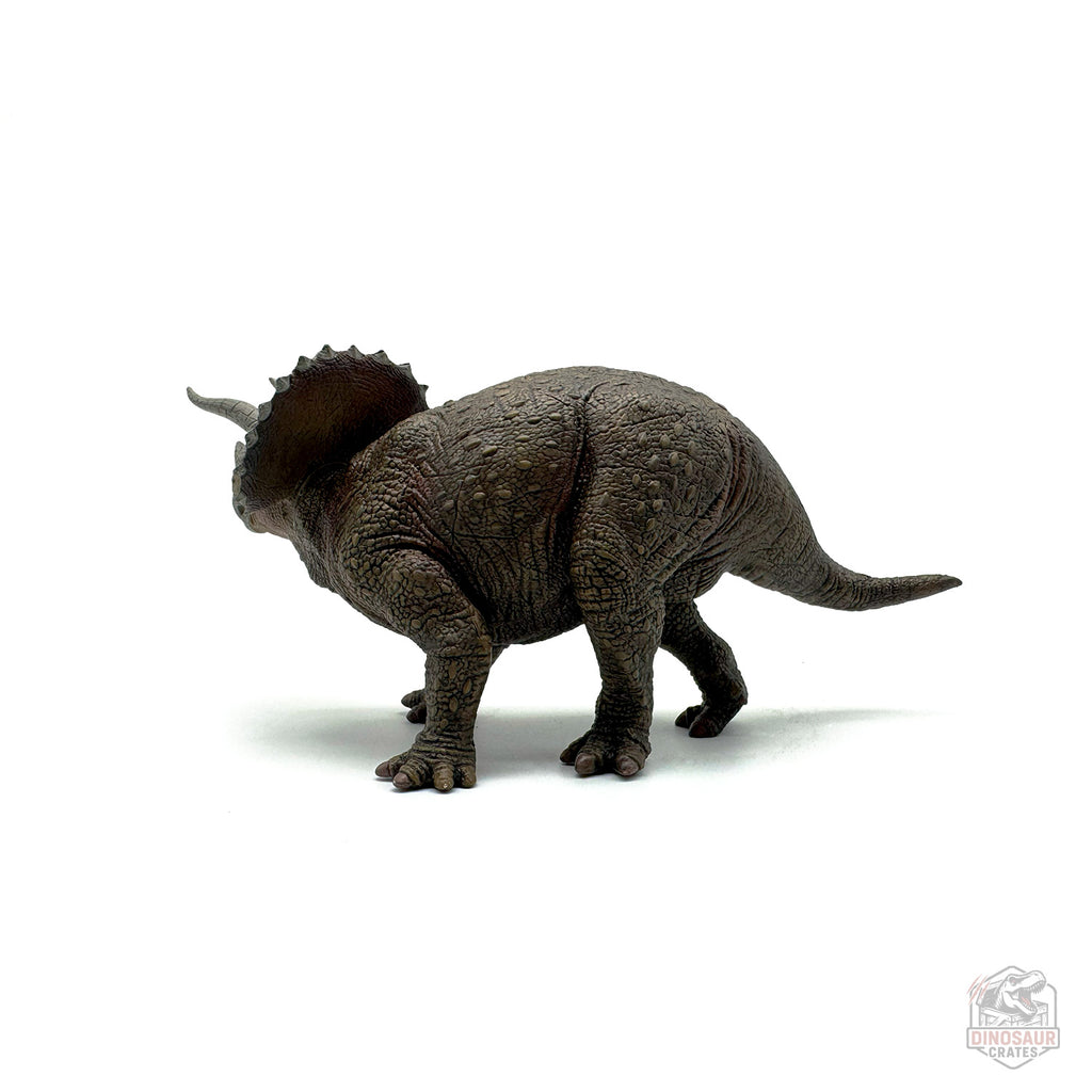 Papo Triceratops Dinosaur Figure