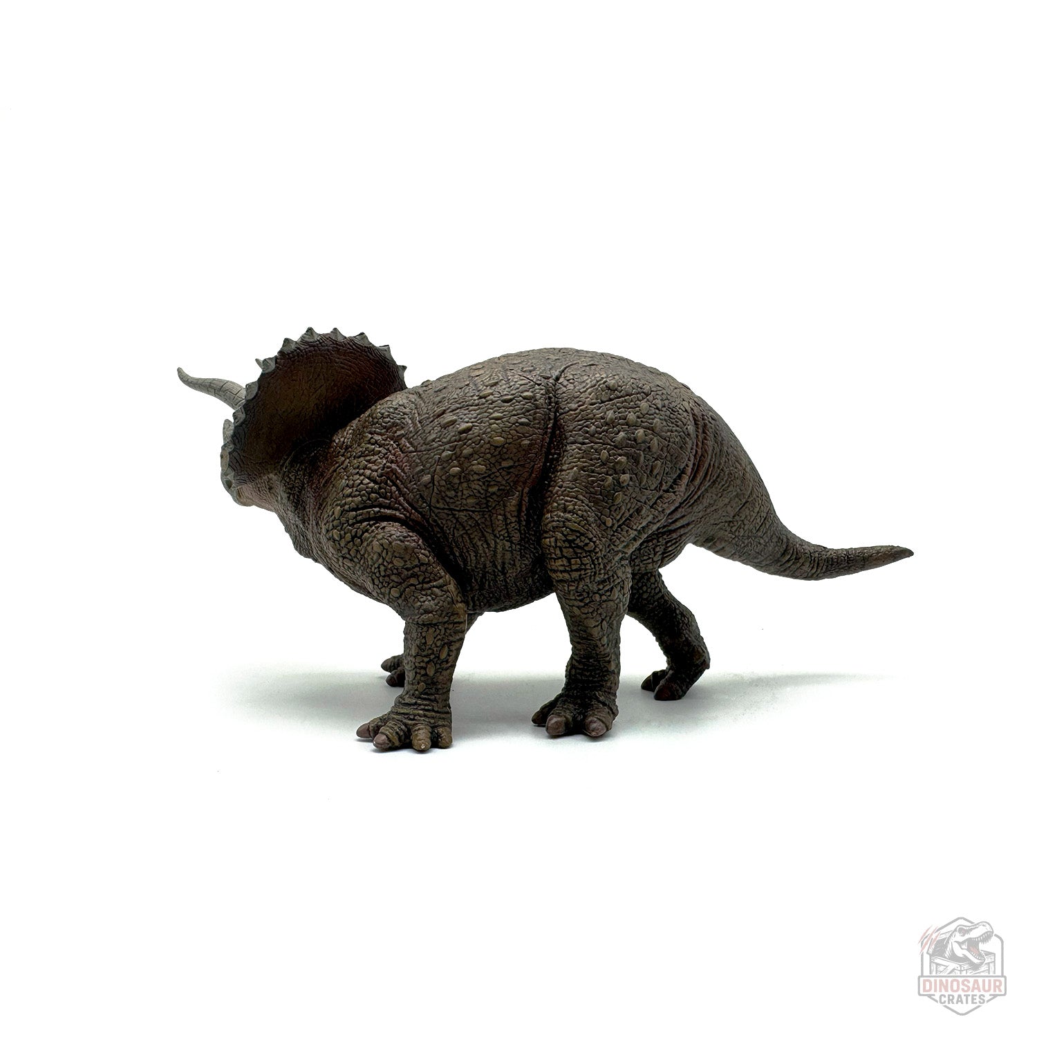 Papo Triceratops Dinosaur Figure