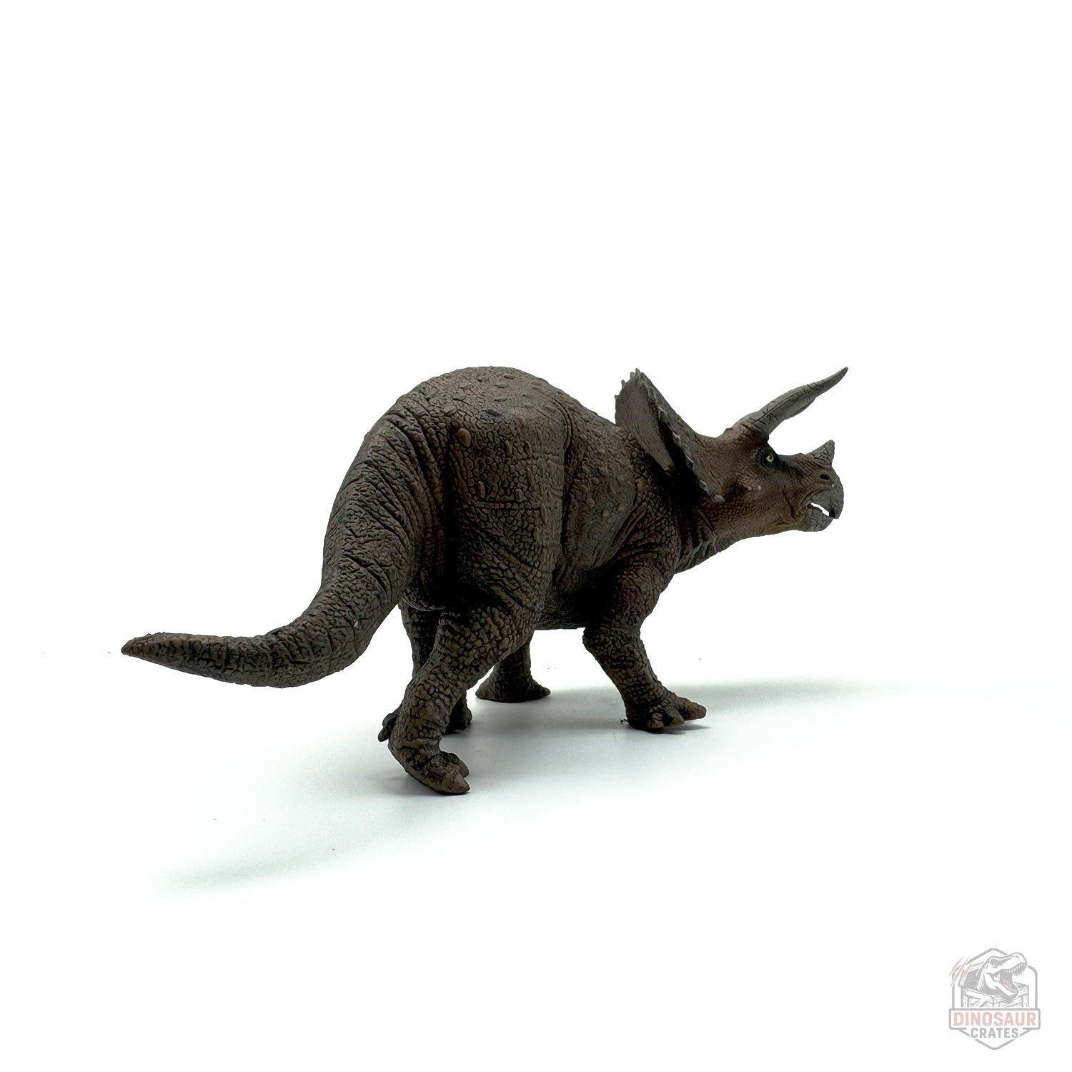 Papo Triceratops Dinosaur Figure