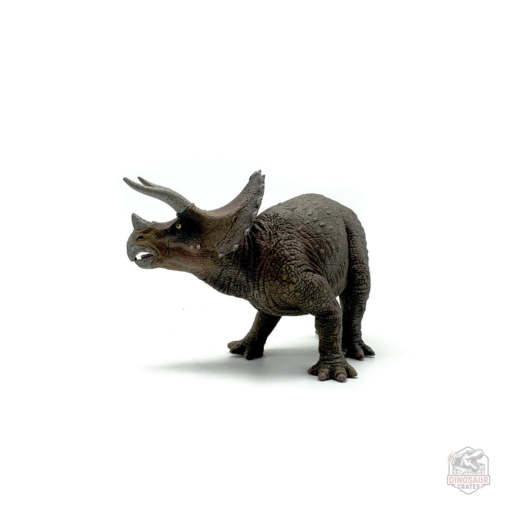 Papo Triceratops Dinosaur Figure