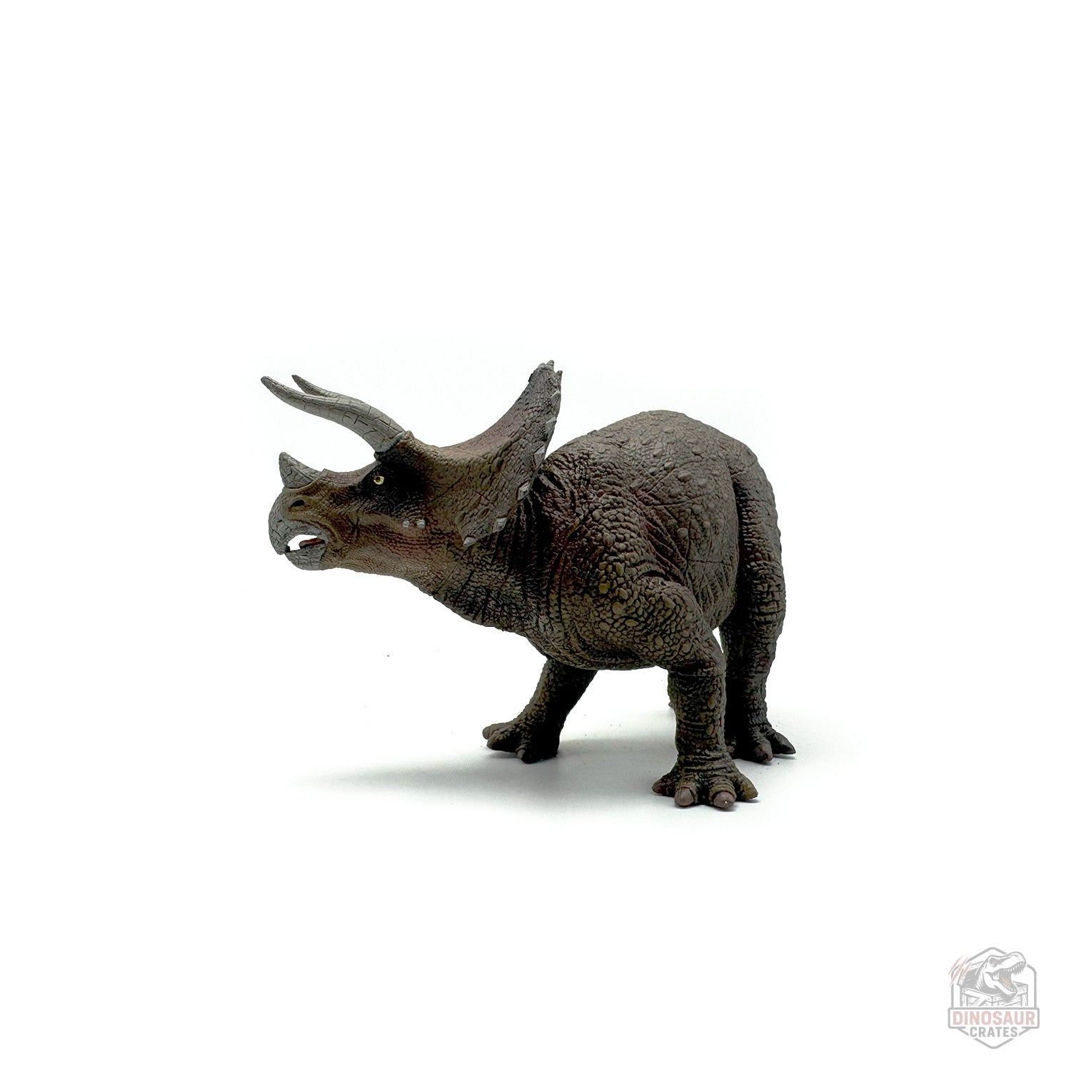 Papo Triceratops Dinosaur Figure