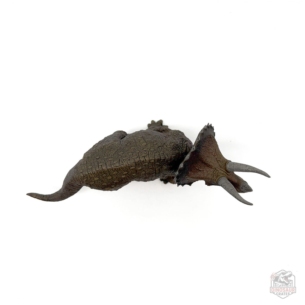 Papo Triceratops Dinosaur Figure