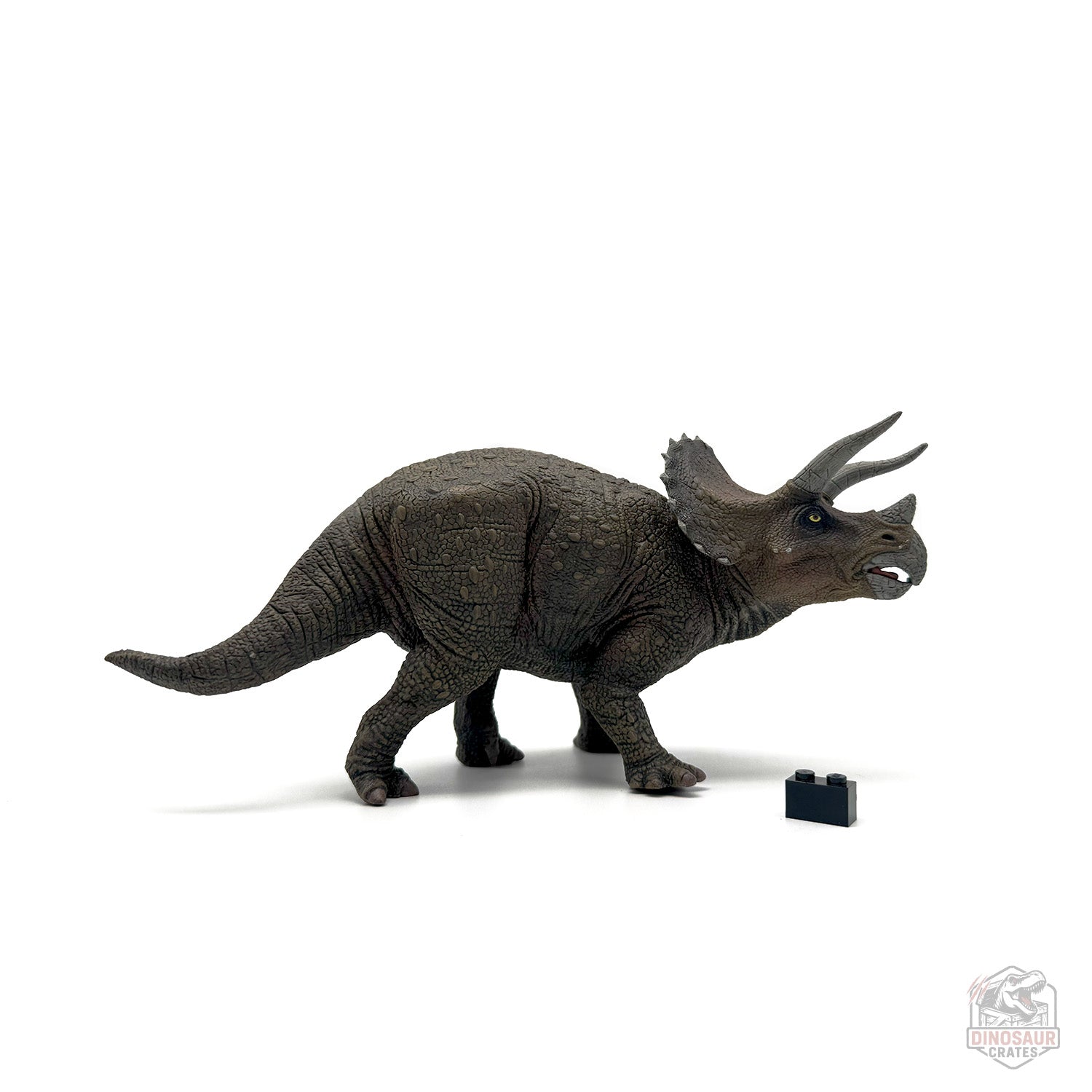 Papo Triceratops Dinosaur Figure