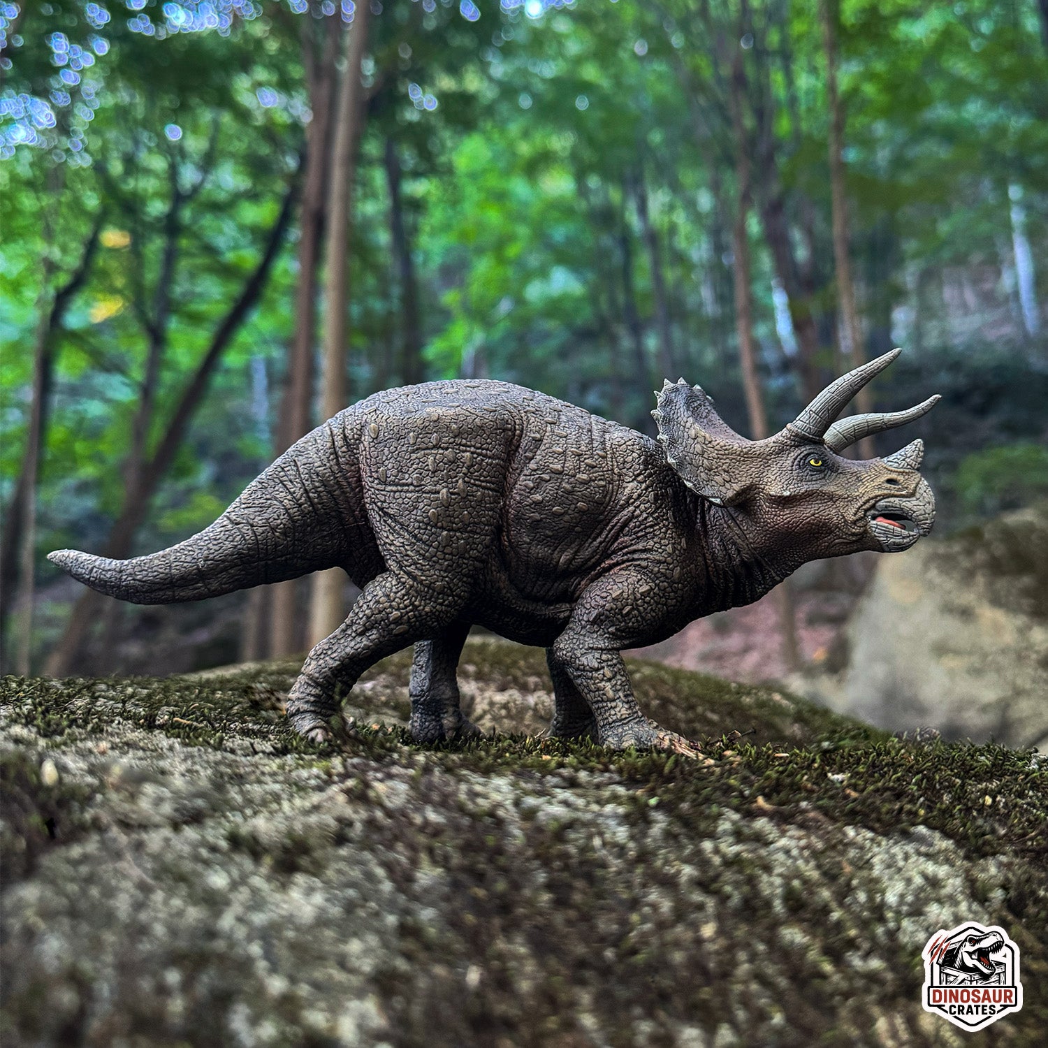 Papo Triceratops Dinosaur  figure on a forest floor with trees in the background