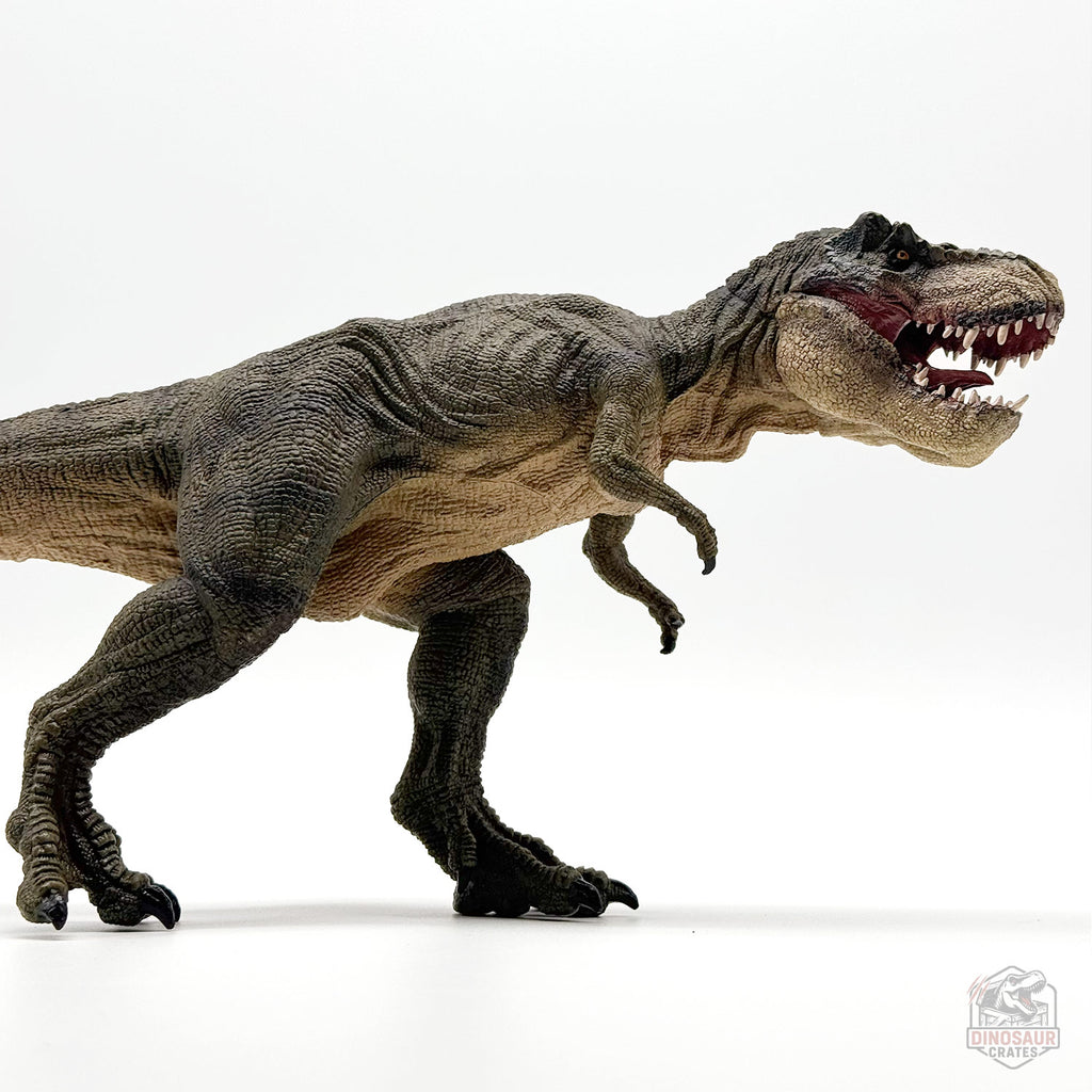 Papo Tyrannosaurus Rex Dinosaur Figure