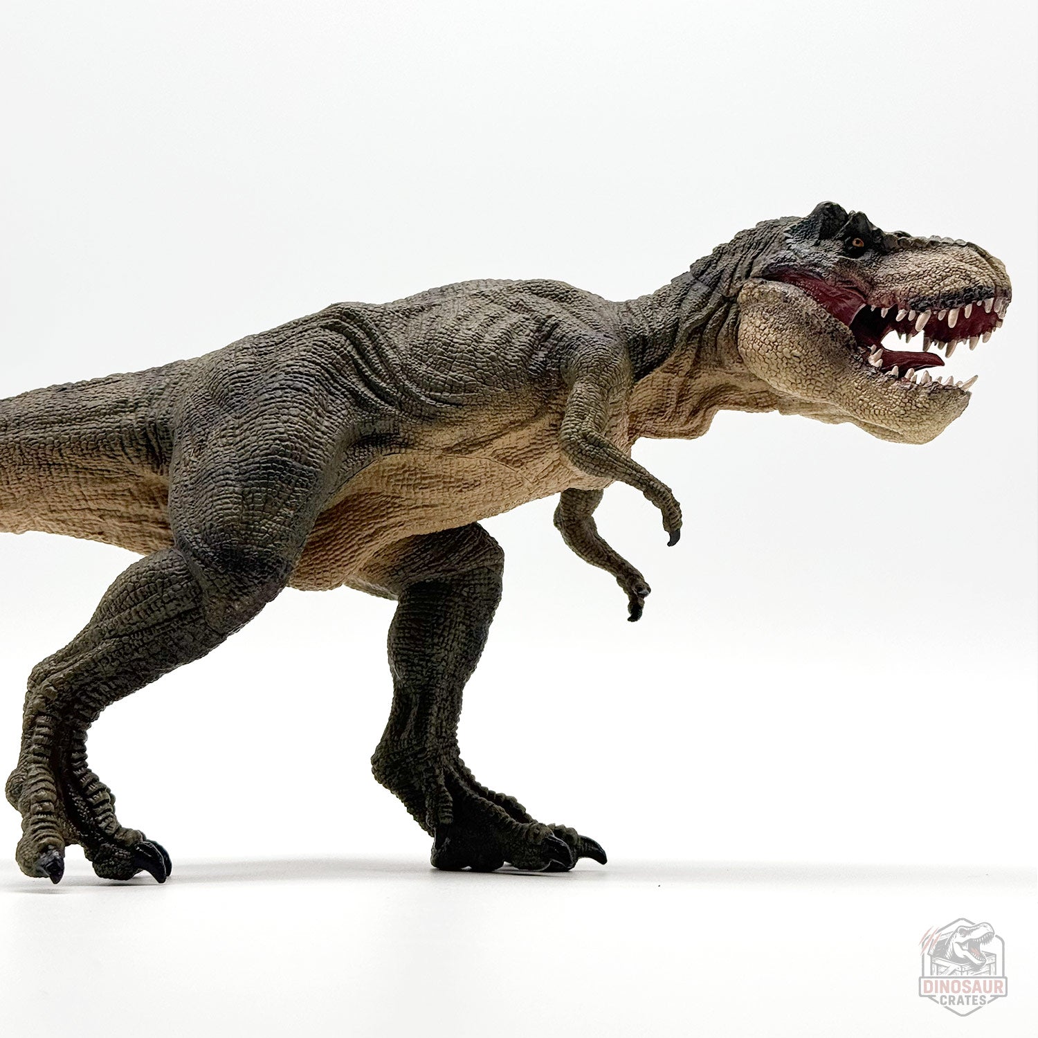 Papo Tyrannosaurus Rex Dinosaur Figure
