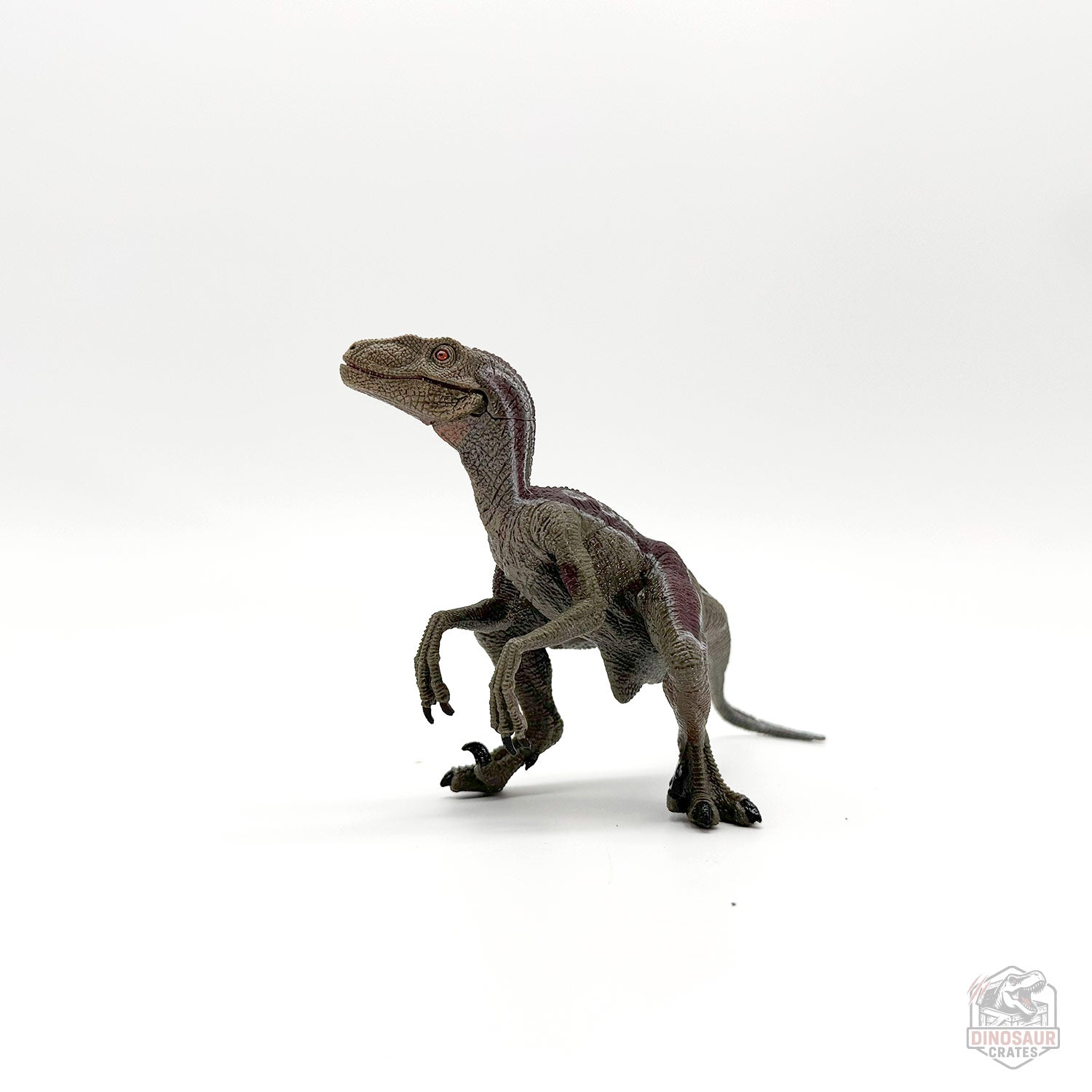 Papo Velociraptor Dinosaur Figure