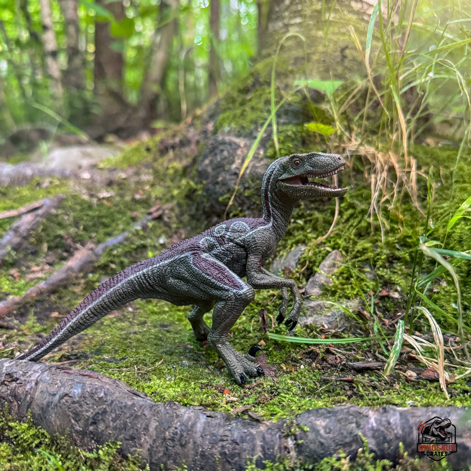 Papo Velociraptor Dinosaur Figure