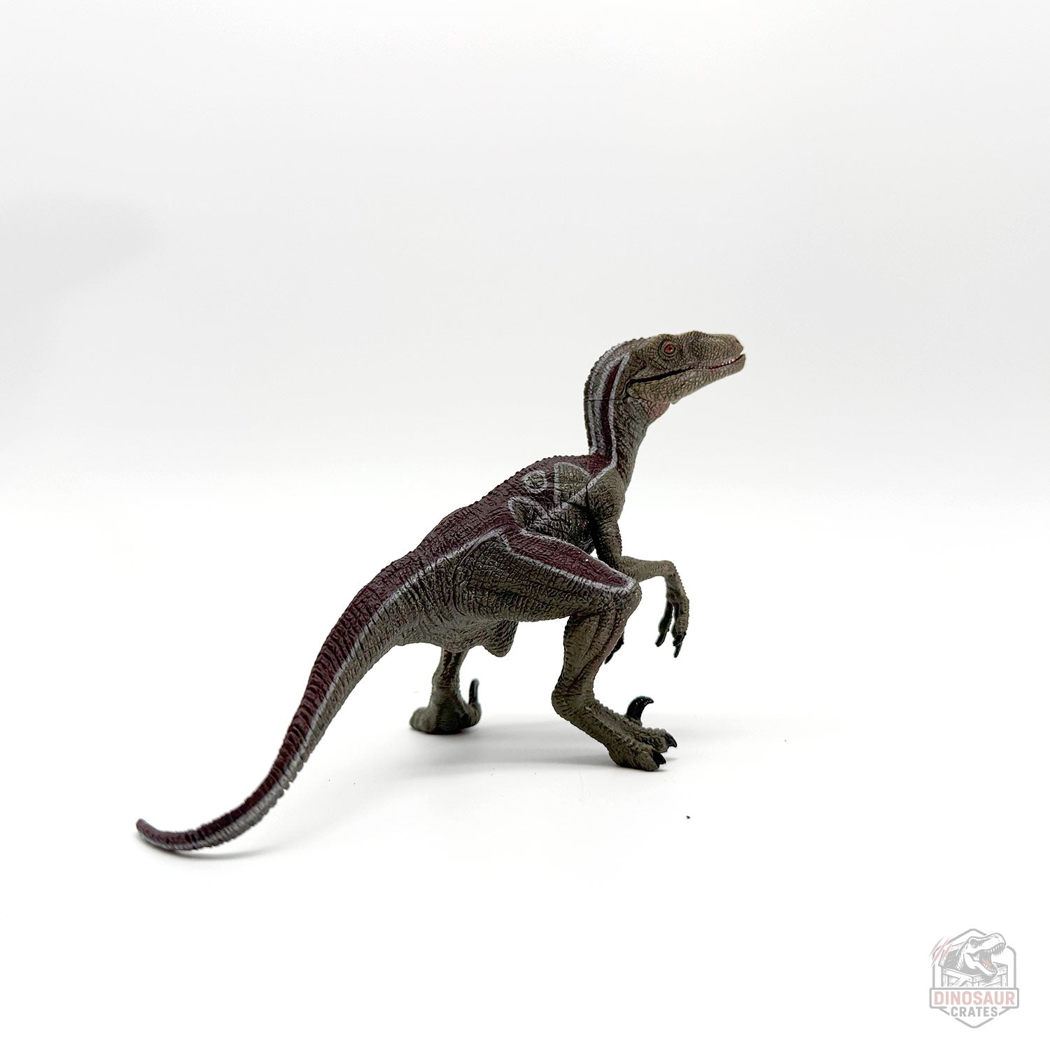 Papo Velociraptor Dinosaur Figure