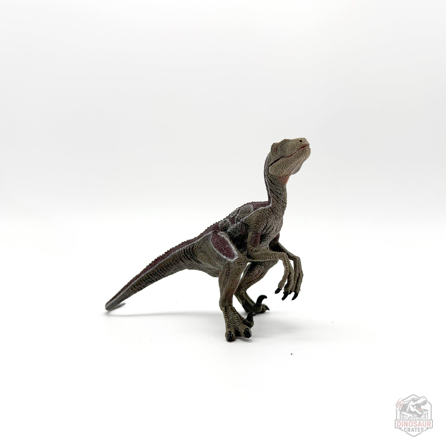 Papo Velociraptor Dinosaur Figure