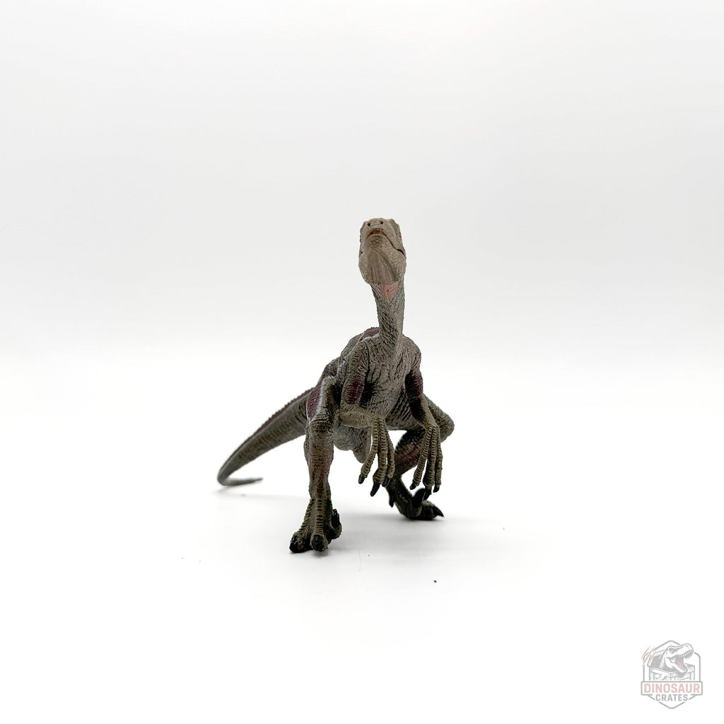 Papo Velociraptor Dinosaur Figure