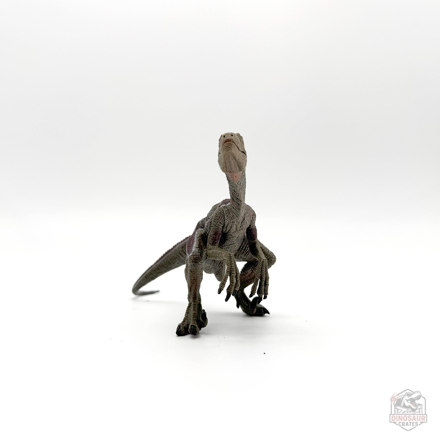 Papo Velociraptor Dinosaur Figure