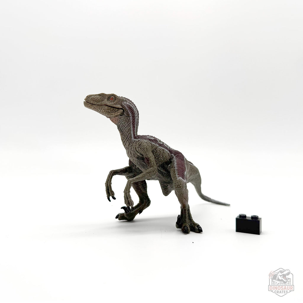 Papo Velociraptor Dinosaur Figure