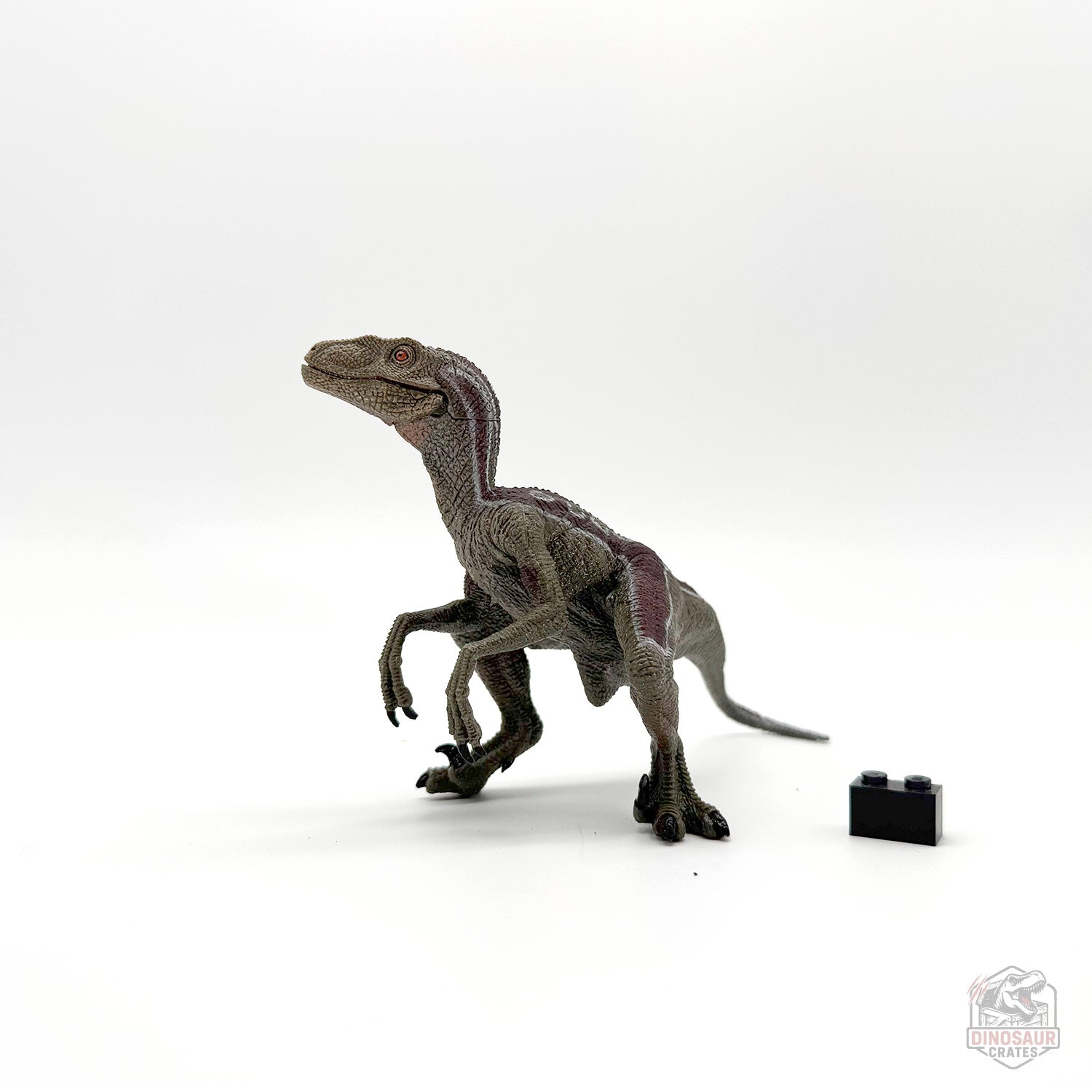 Papo Velociraptor Dinosaur Figure