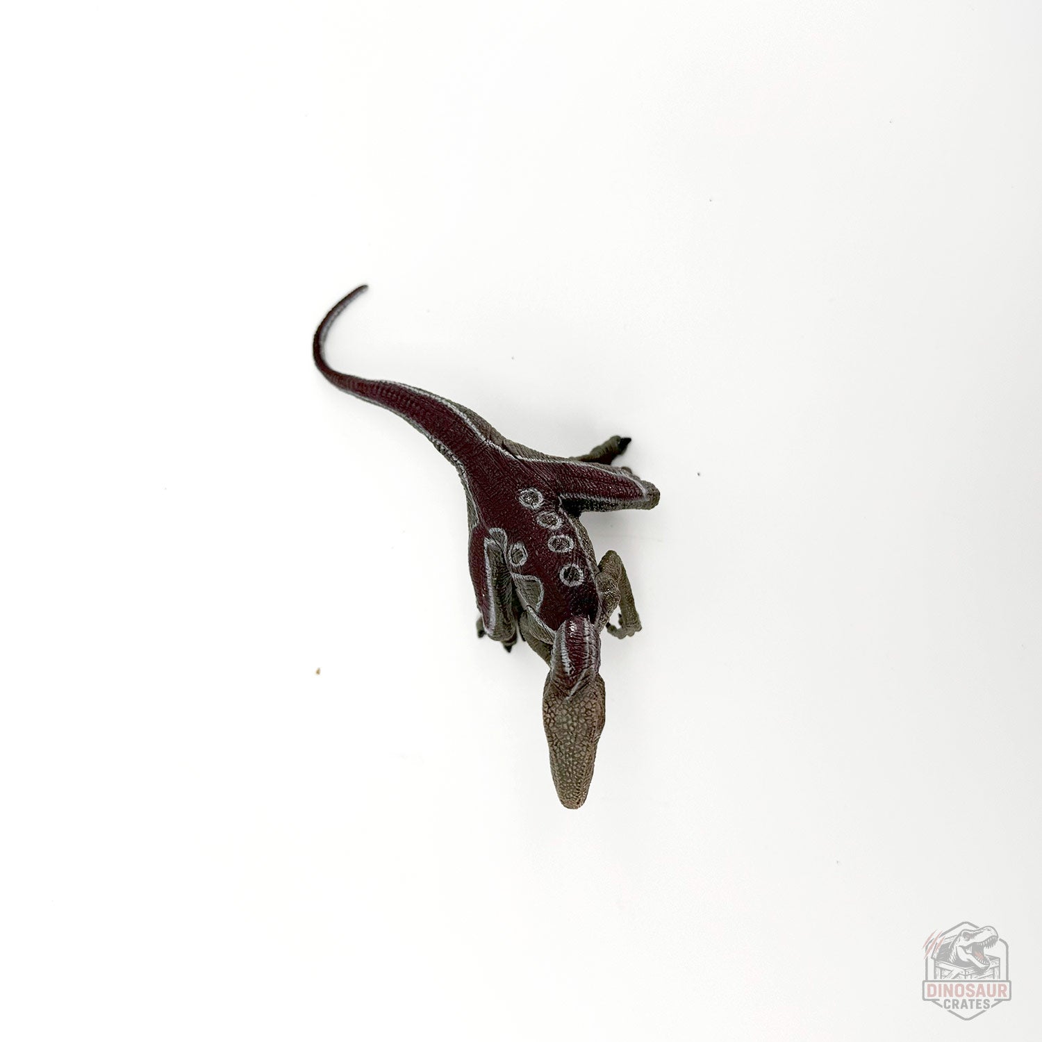 Papo Velociraptor Dinosaur Figure