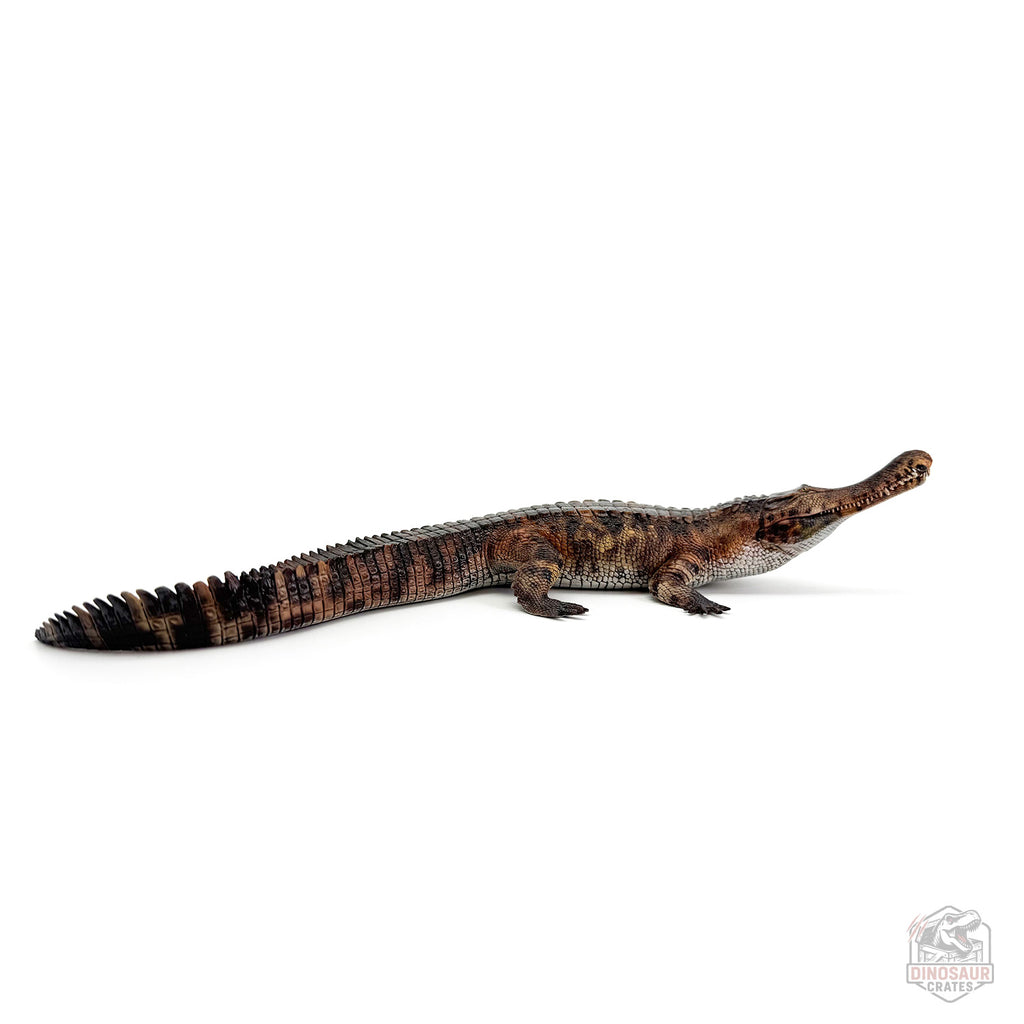 Haolonggood Figurine de Sarcosuchus Imperator
