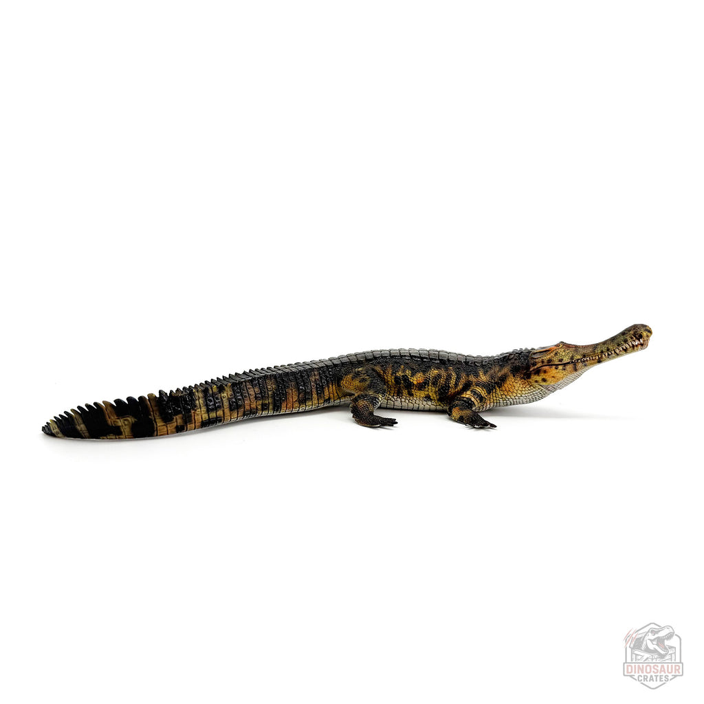 Haolonggood Figurine de Sarcosuchus Imperator